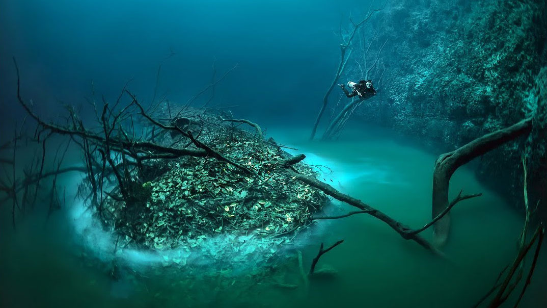 tauchen-cenote.mexiko