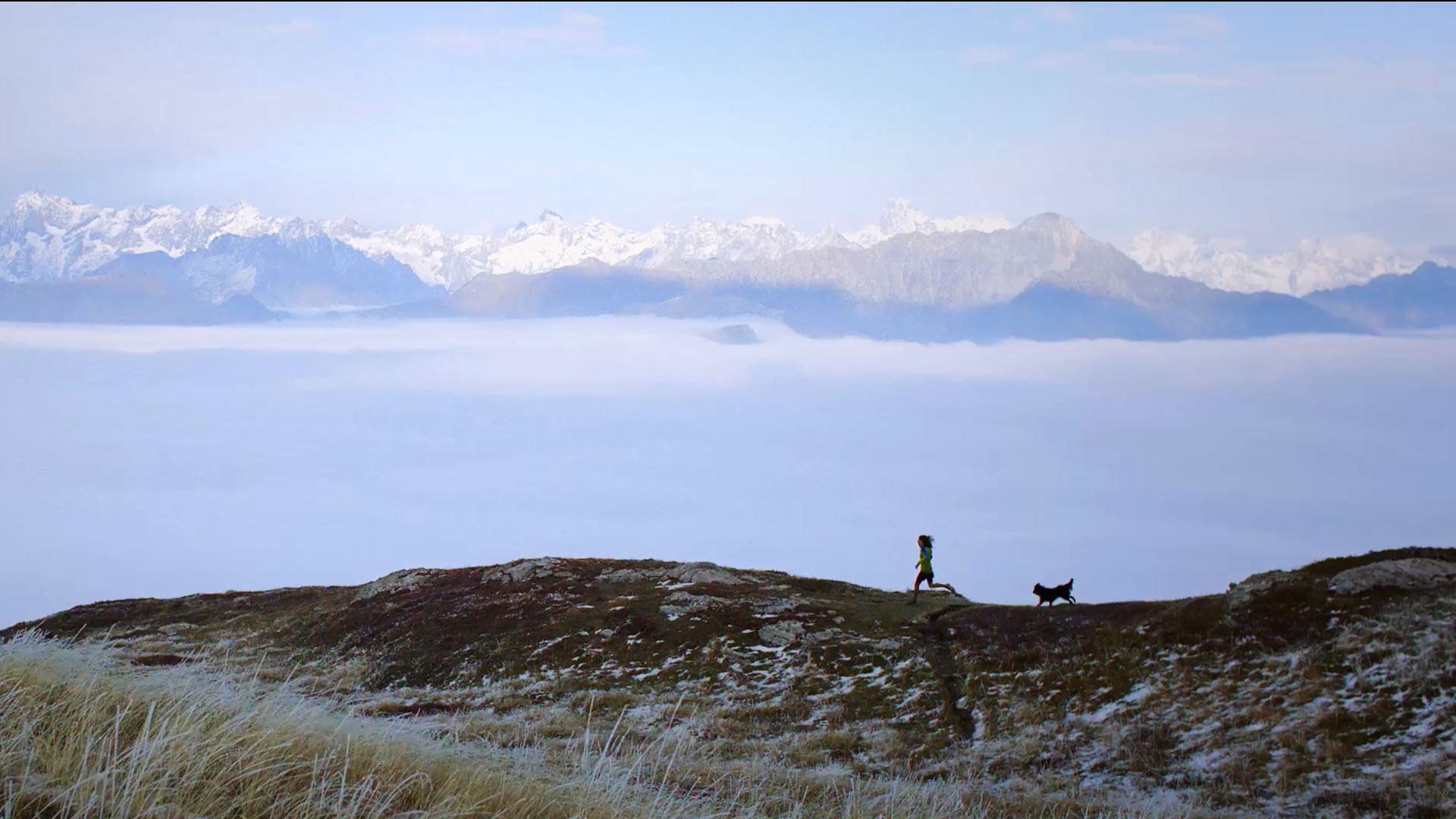 trail-dog-trailrunning