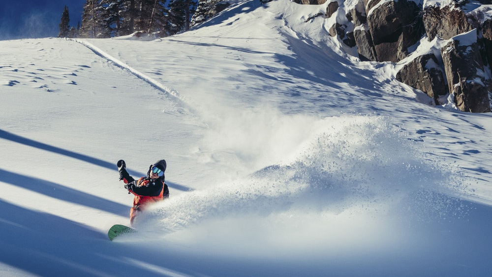 Backyard_Boogie_Griffin_Siebert_Foto-Bob-Plumb