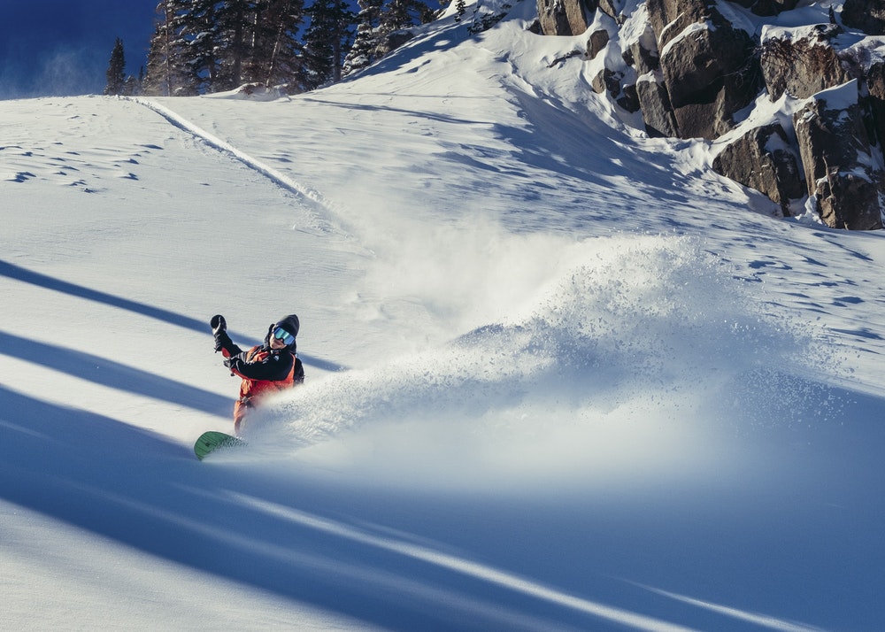 Backyard_Boogie_Griffin_Siebert_Photo-Bob-Plumb_2