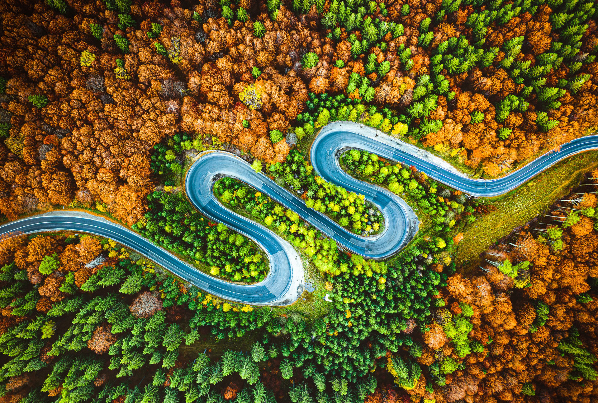 ArvidsBaranovs_Latvia_NationalAwards_2020