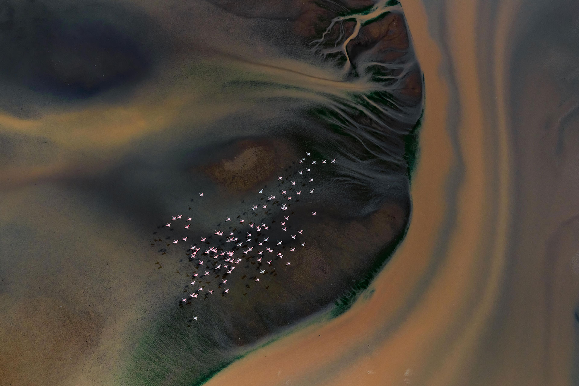 HongChen_HongKong_NationalAwards_2020