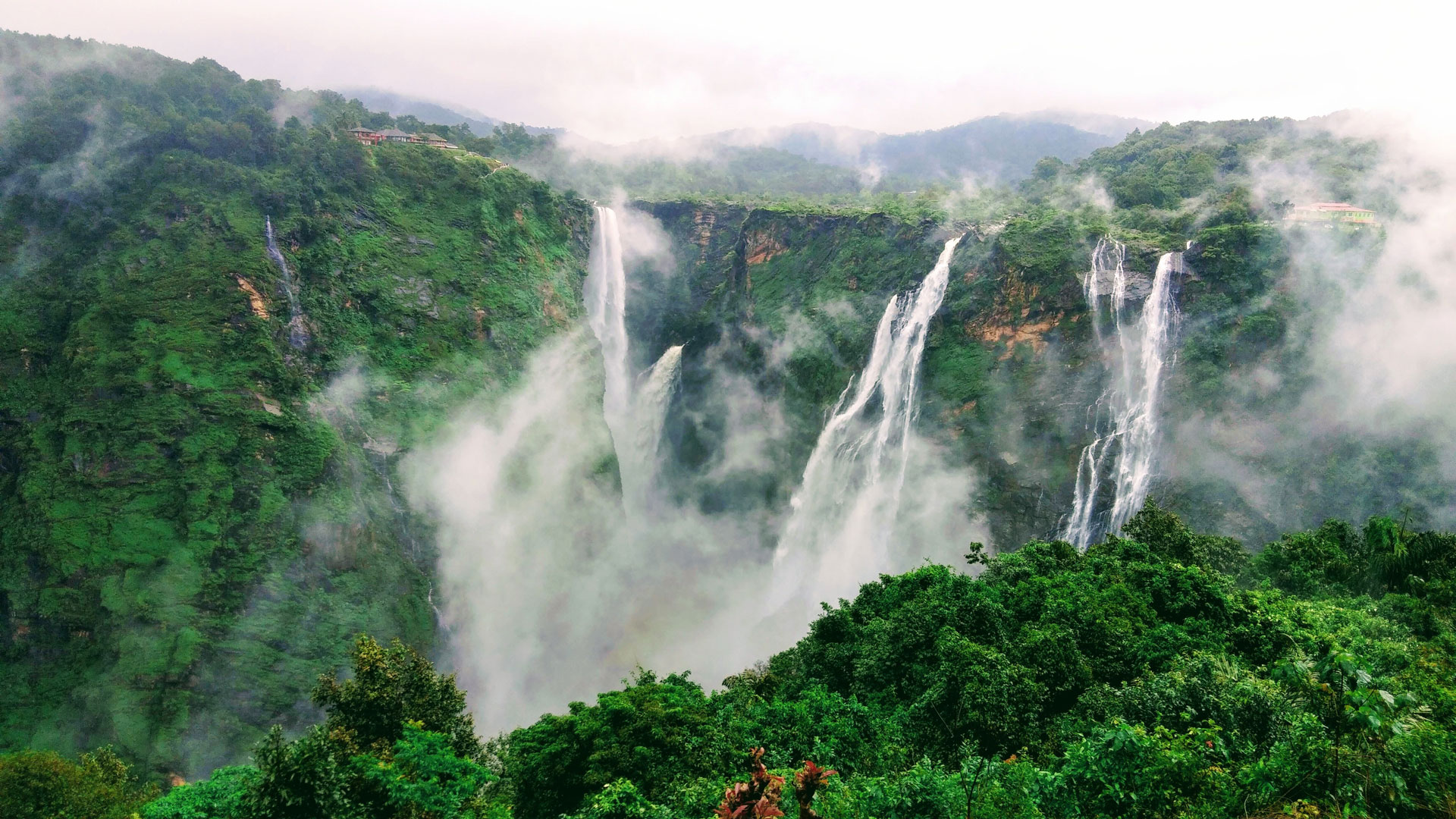 venkat-sudheer-reddy-unsplash