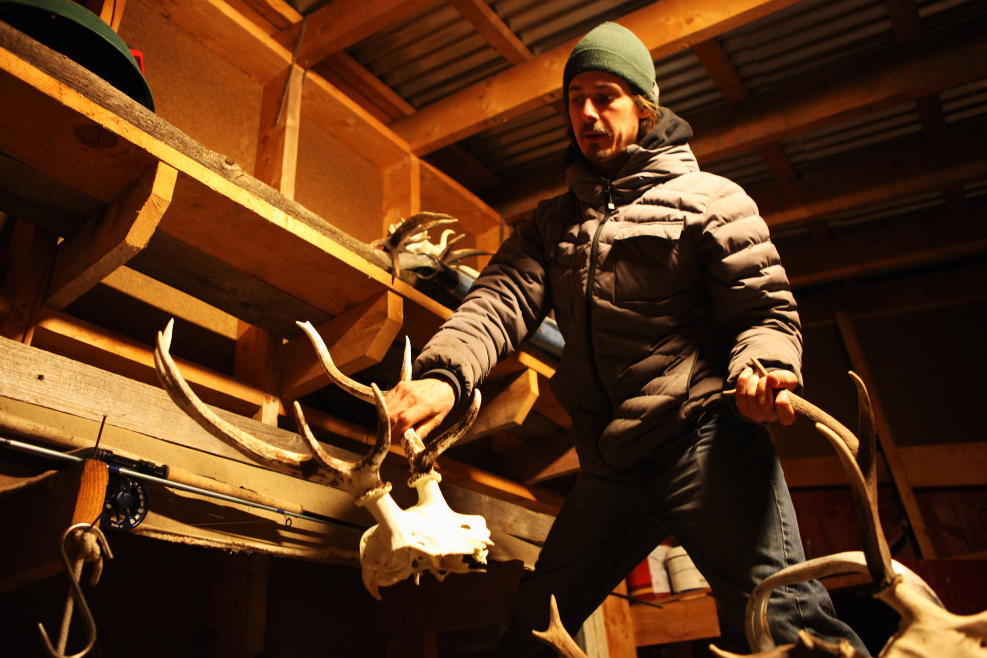 IMG_3167_Mads_Shed_Elk_13 IMG_3167_Mads_Shed_Elk_13