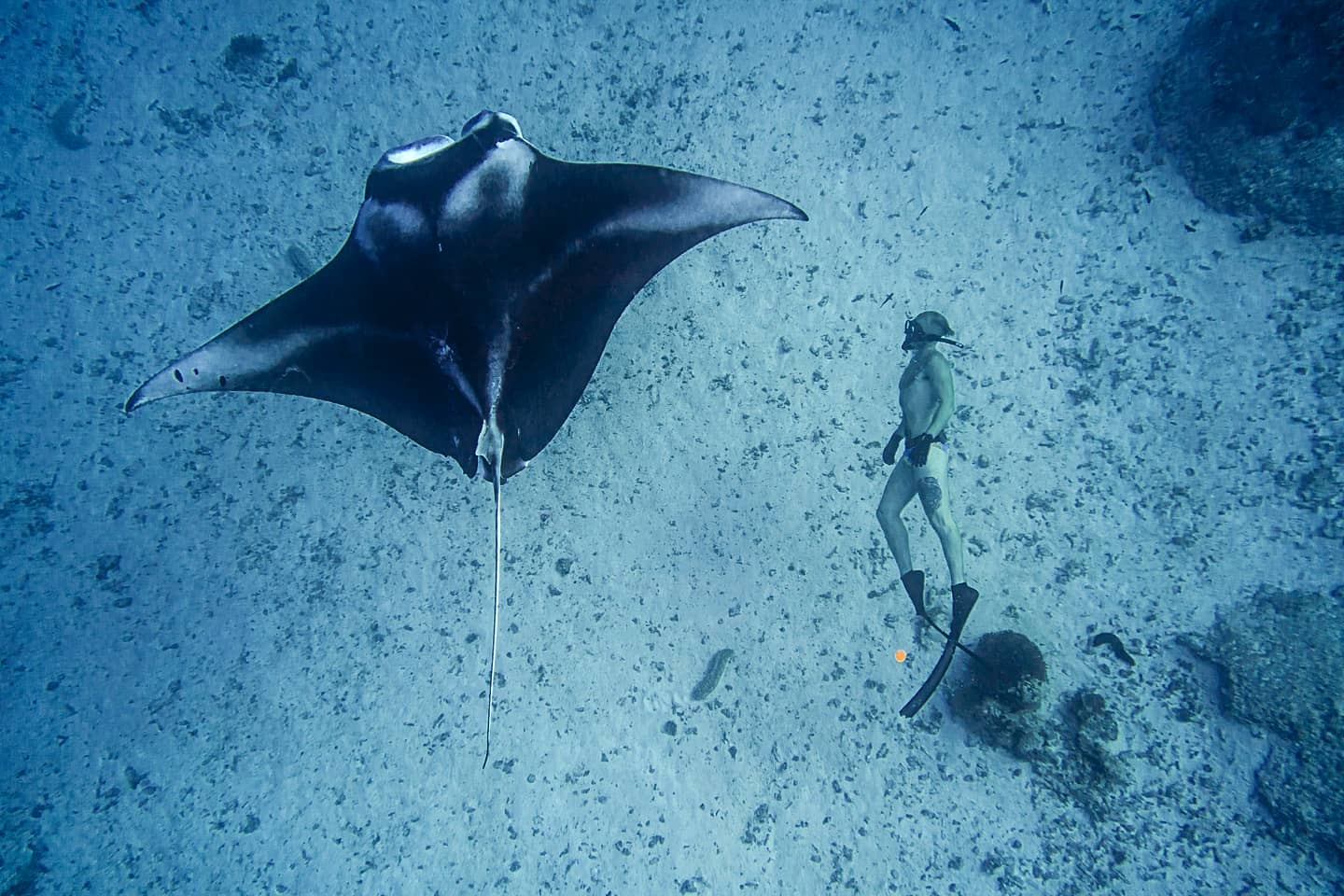 William Solis-Mantarochen William Solis-Mantarochen
