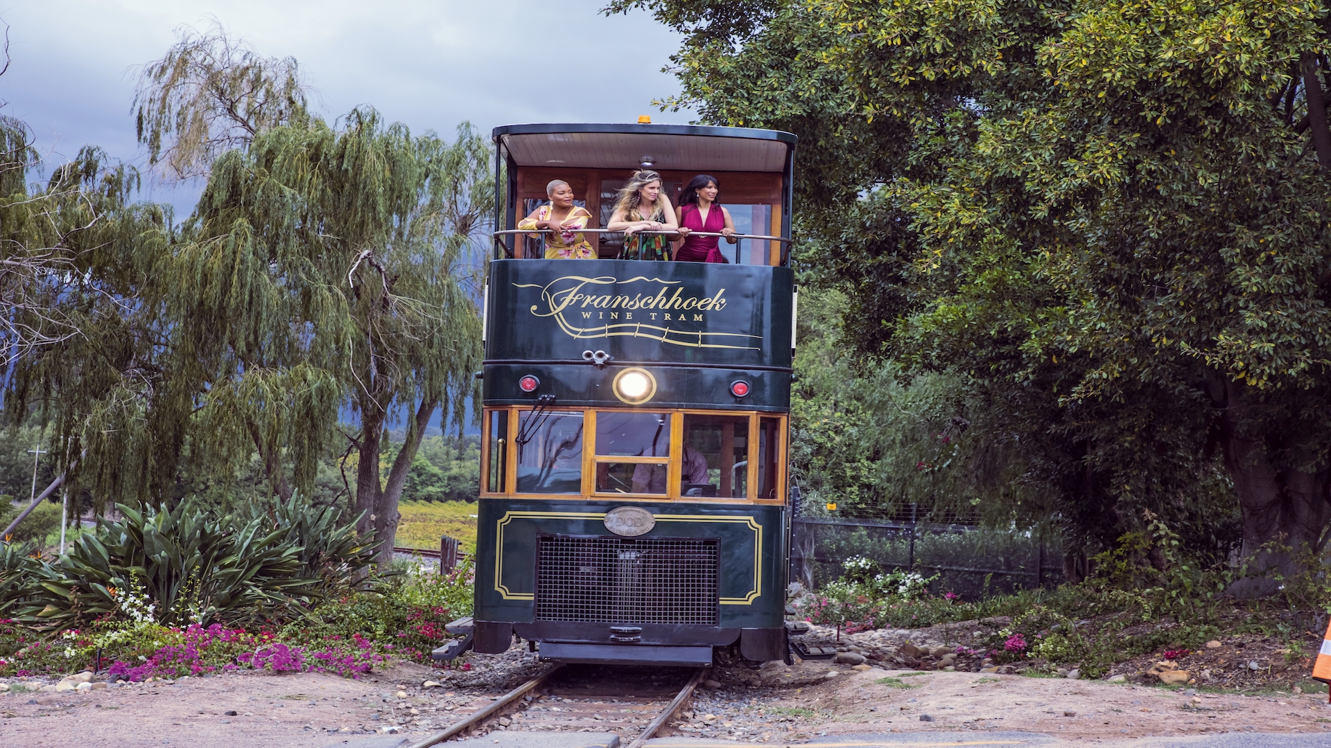 Wine Tram winelands - fraschhoek