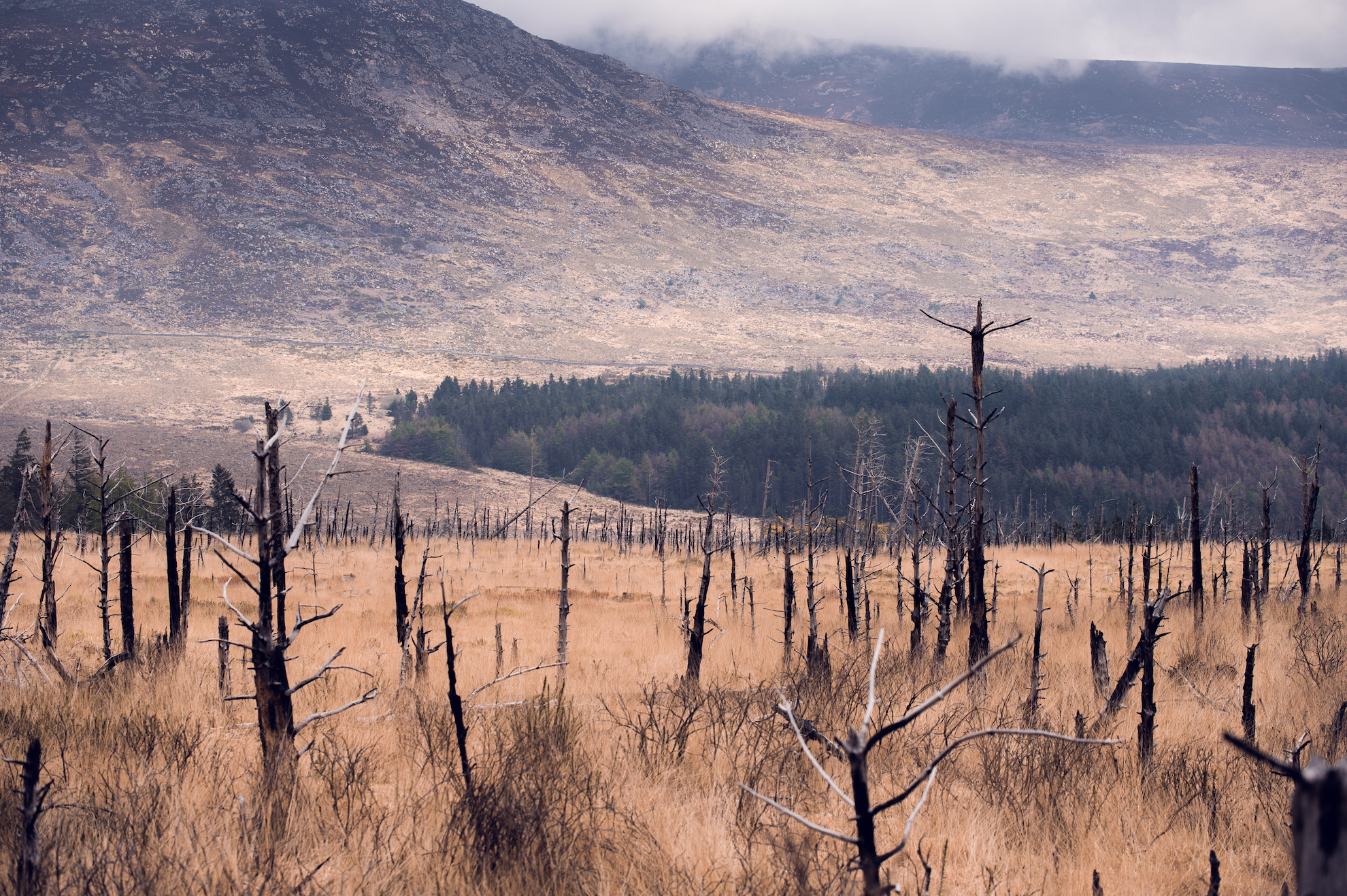 Mourne Mountains