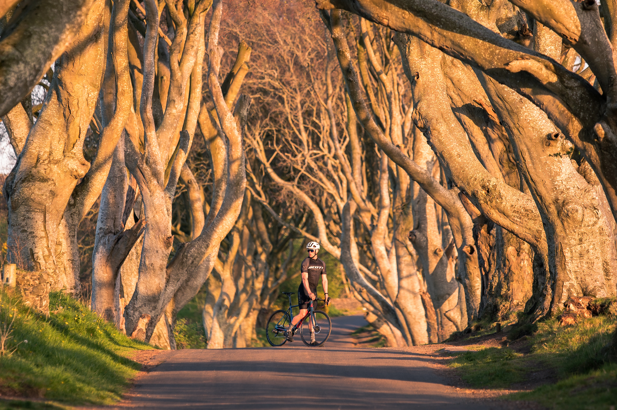 The Dark Hedges_Roadtrip Nordirland