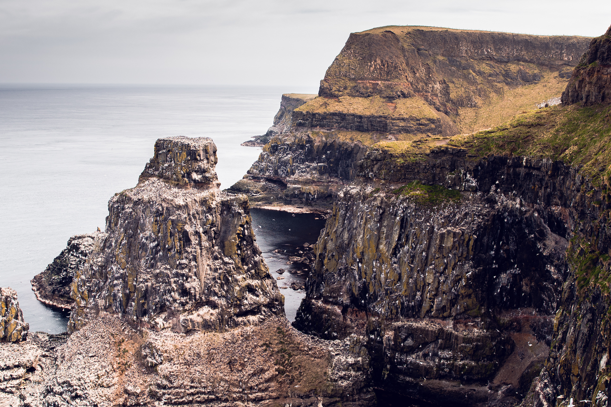 Rathlin Island_Nordirland Rathlin Island_Nordirland_10 Sehenswürdigkeiten Nordirland