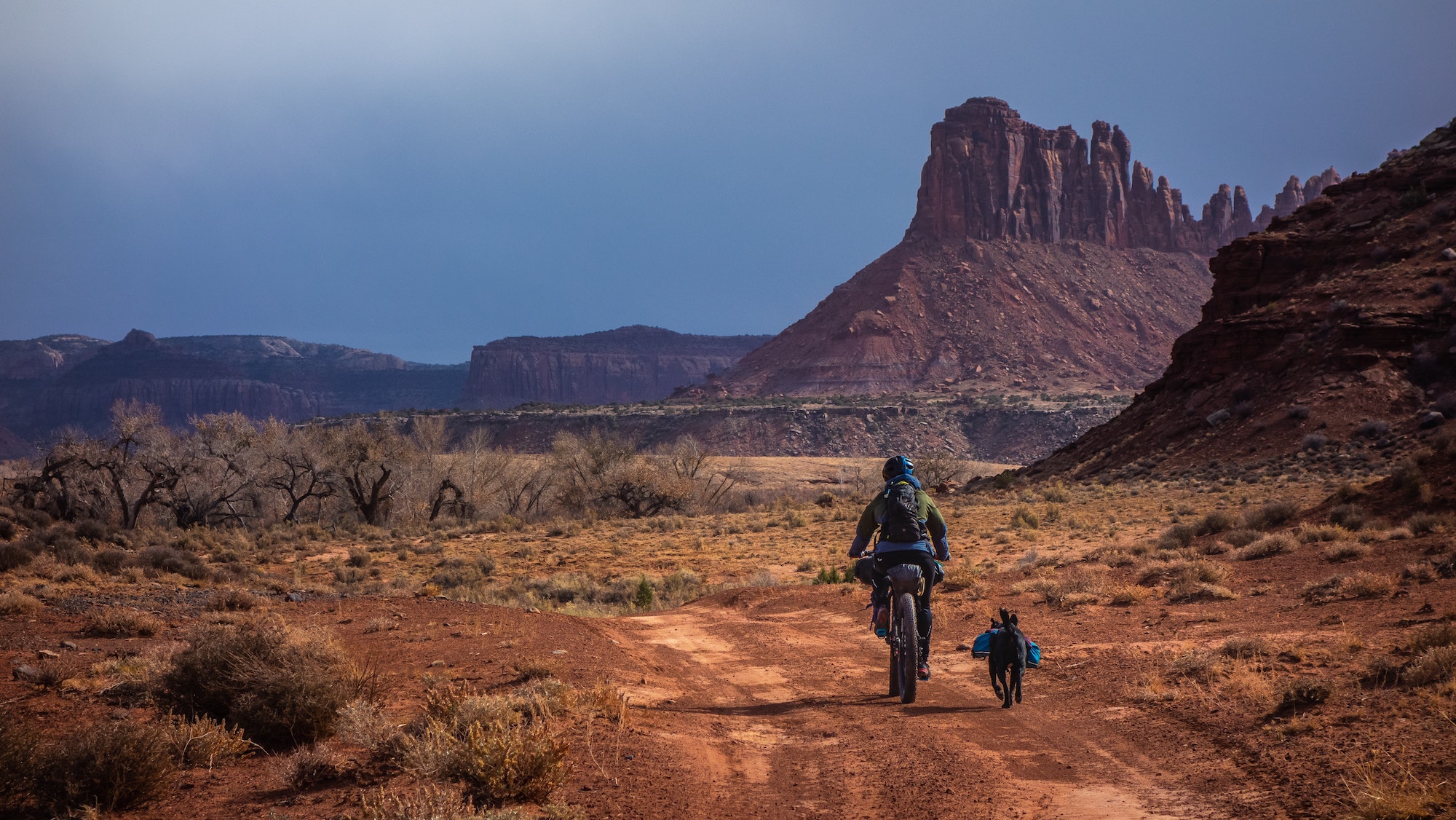 patrick-hendry-Ac-RIC291ls-unsplash