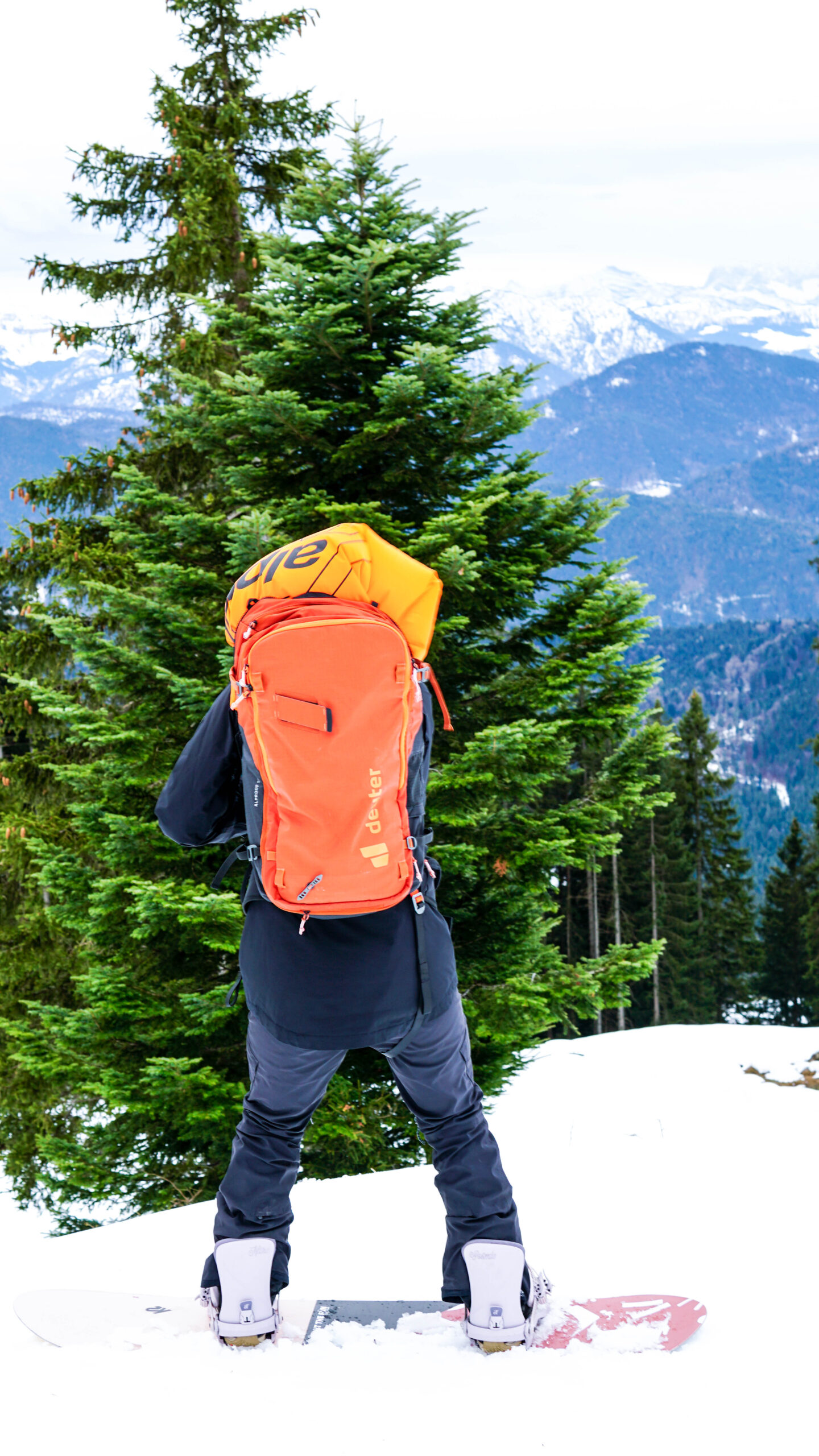 deuter alproof lawinenrucksack