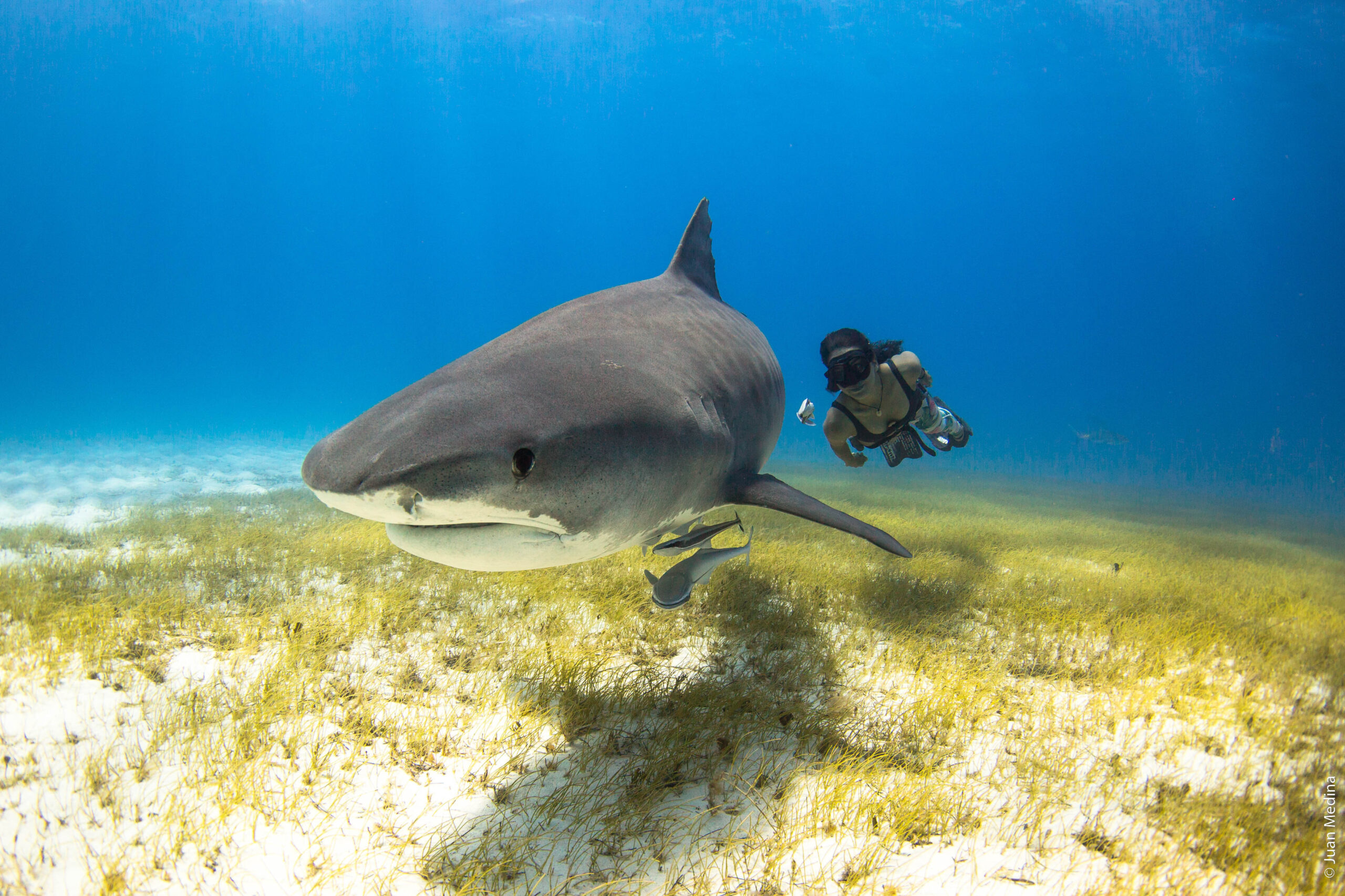 The Power of Activism