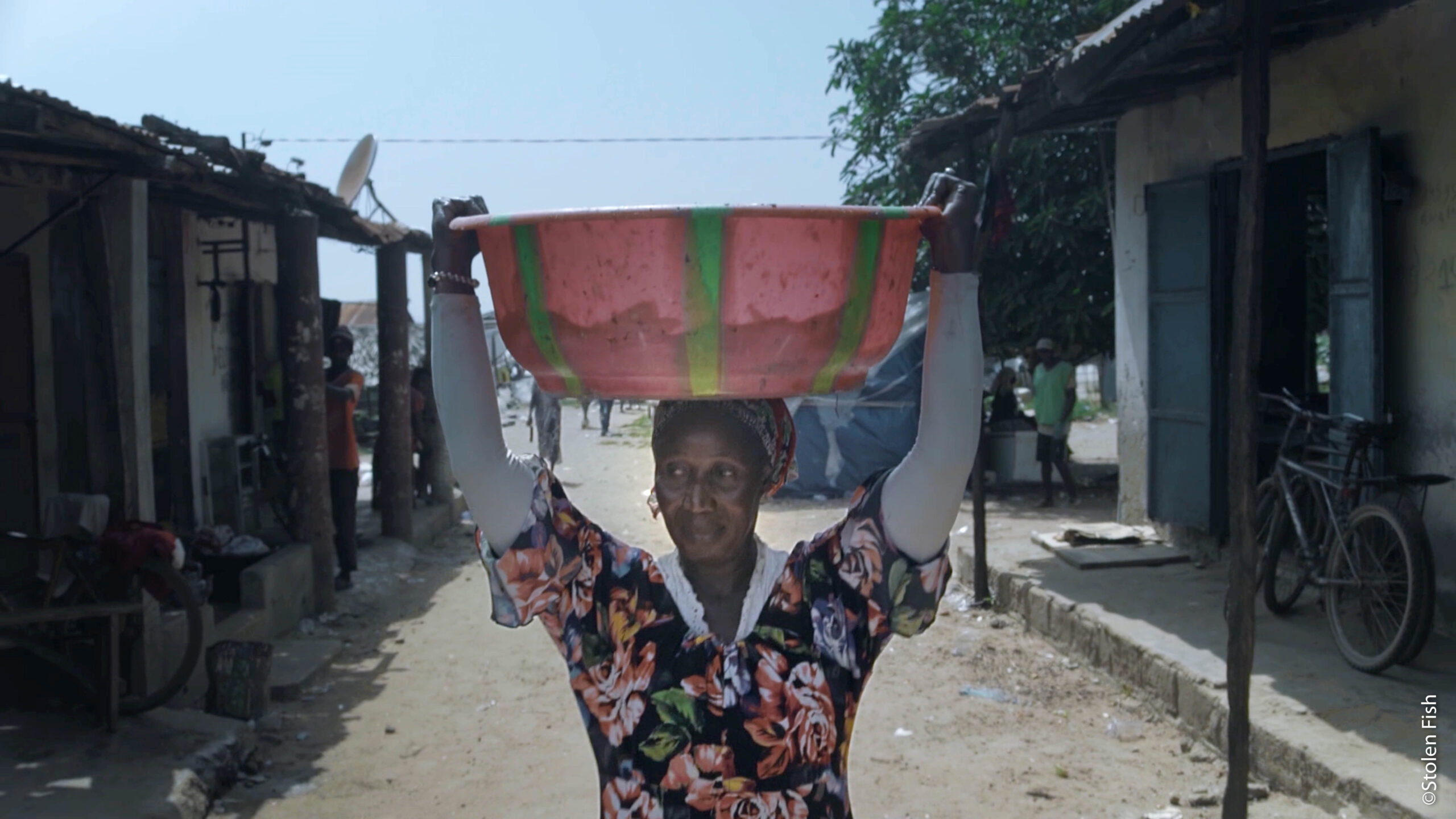 Stolen Fish / Mariama