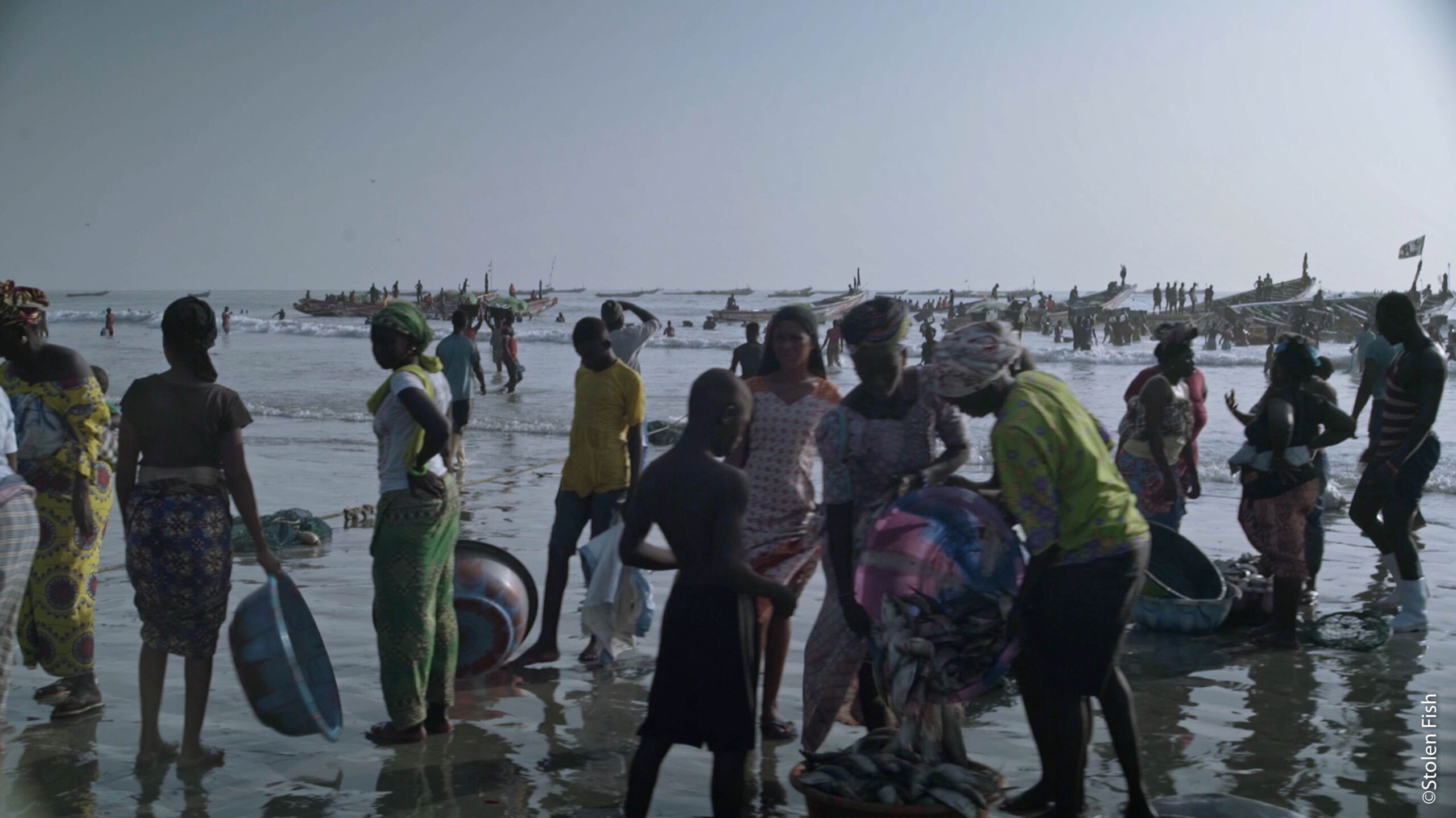 Stolen Fish Gambia