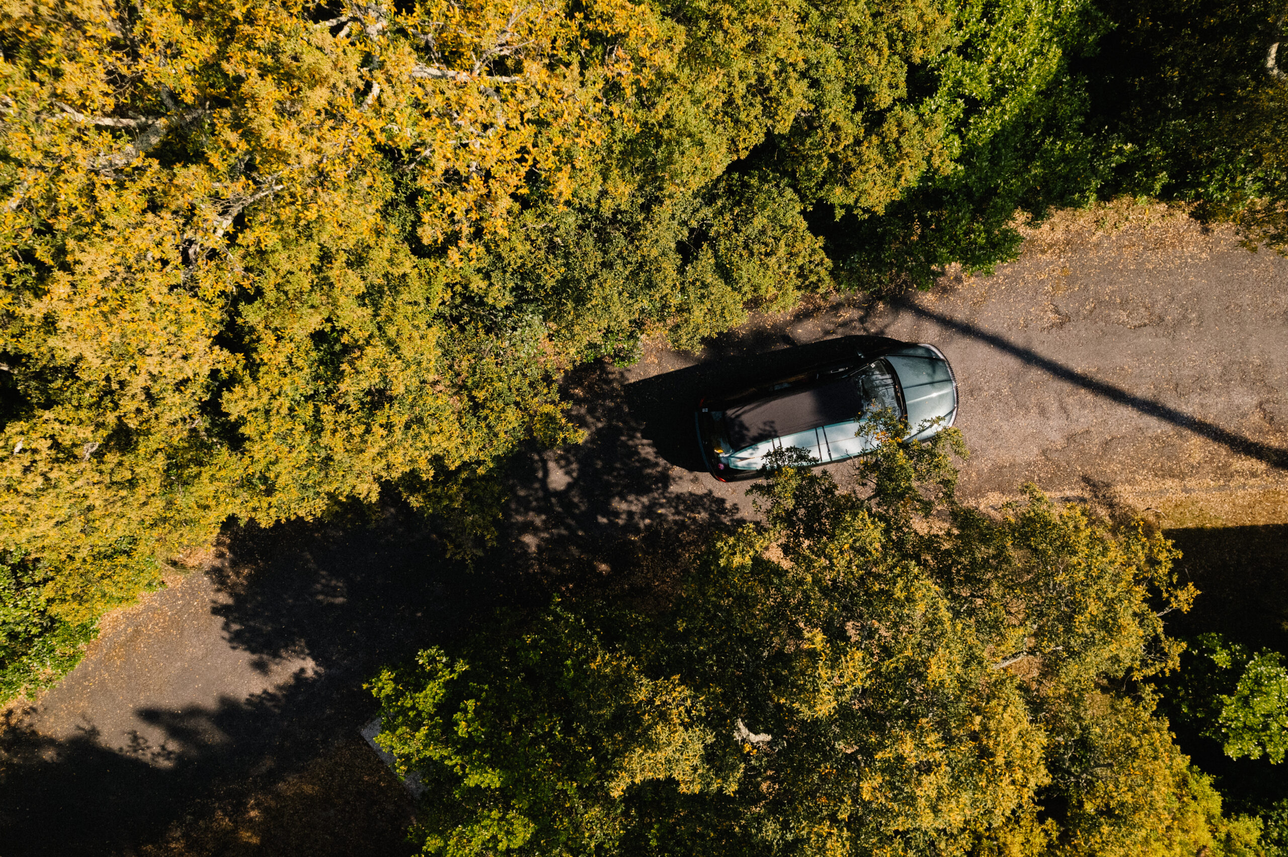 Thule Test Thule Test