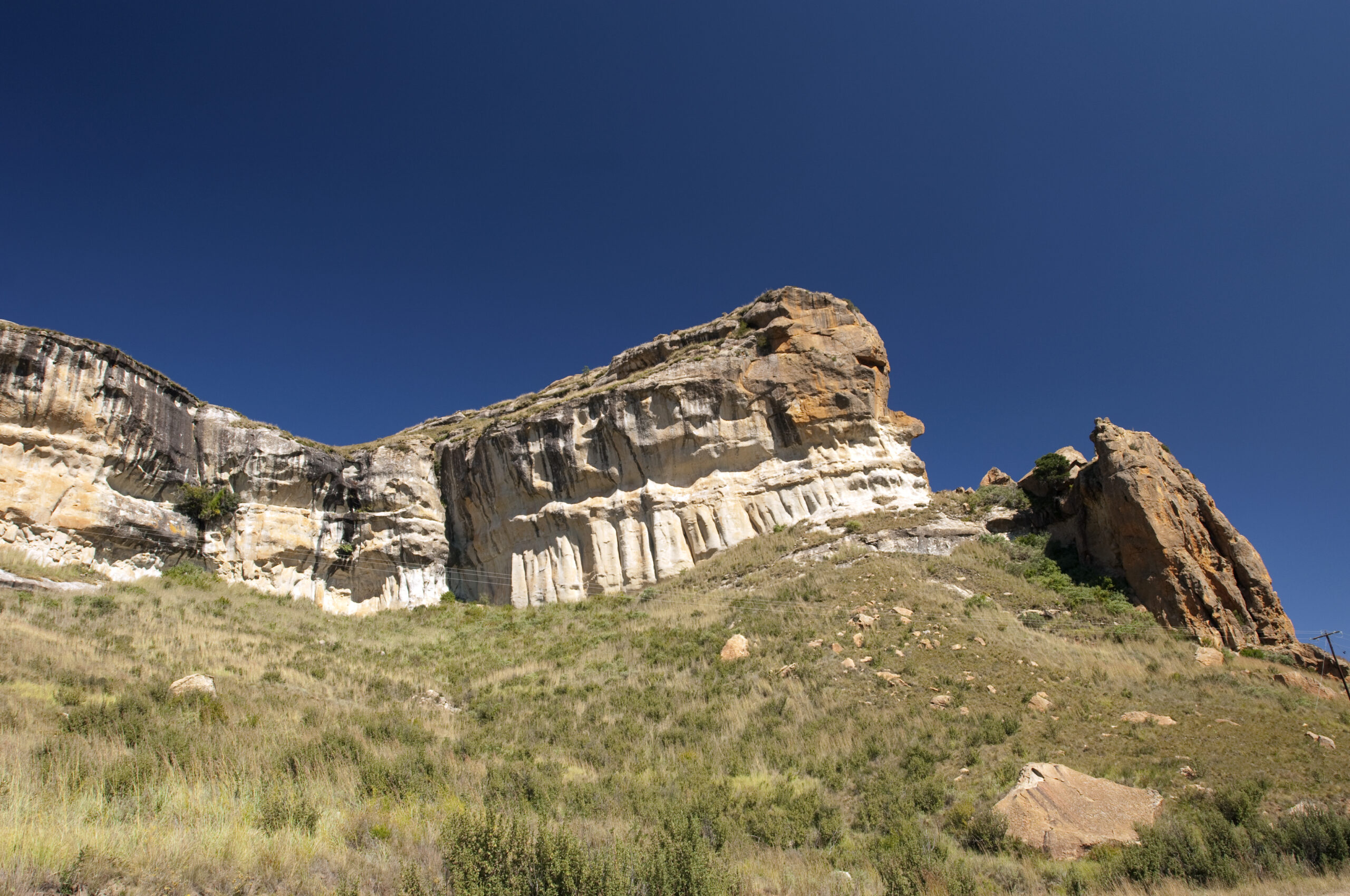 Free State