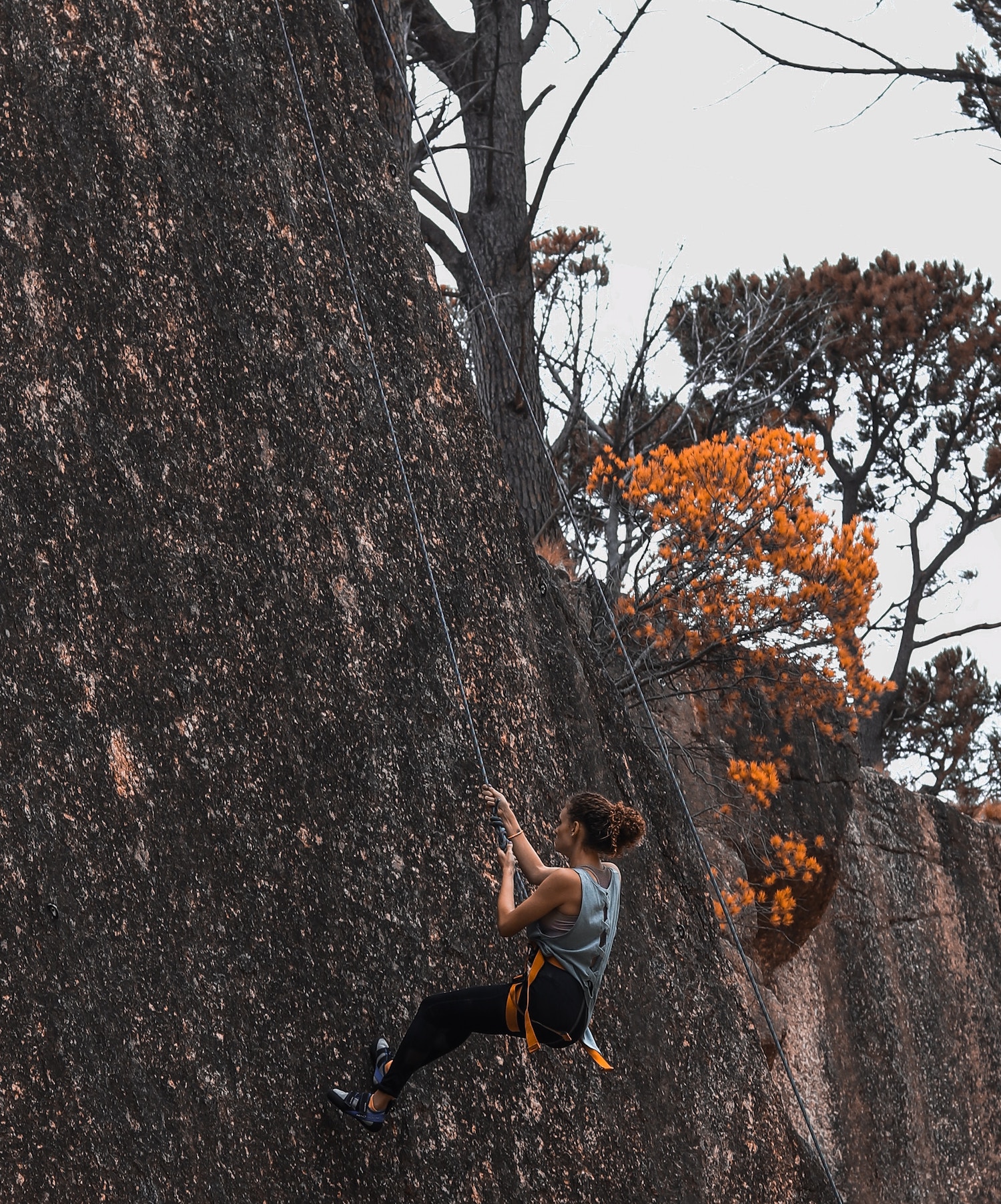 Magaliesberg Mountains 