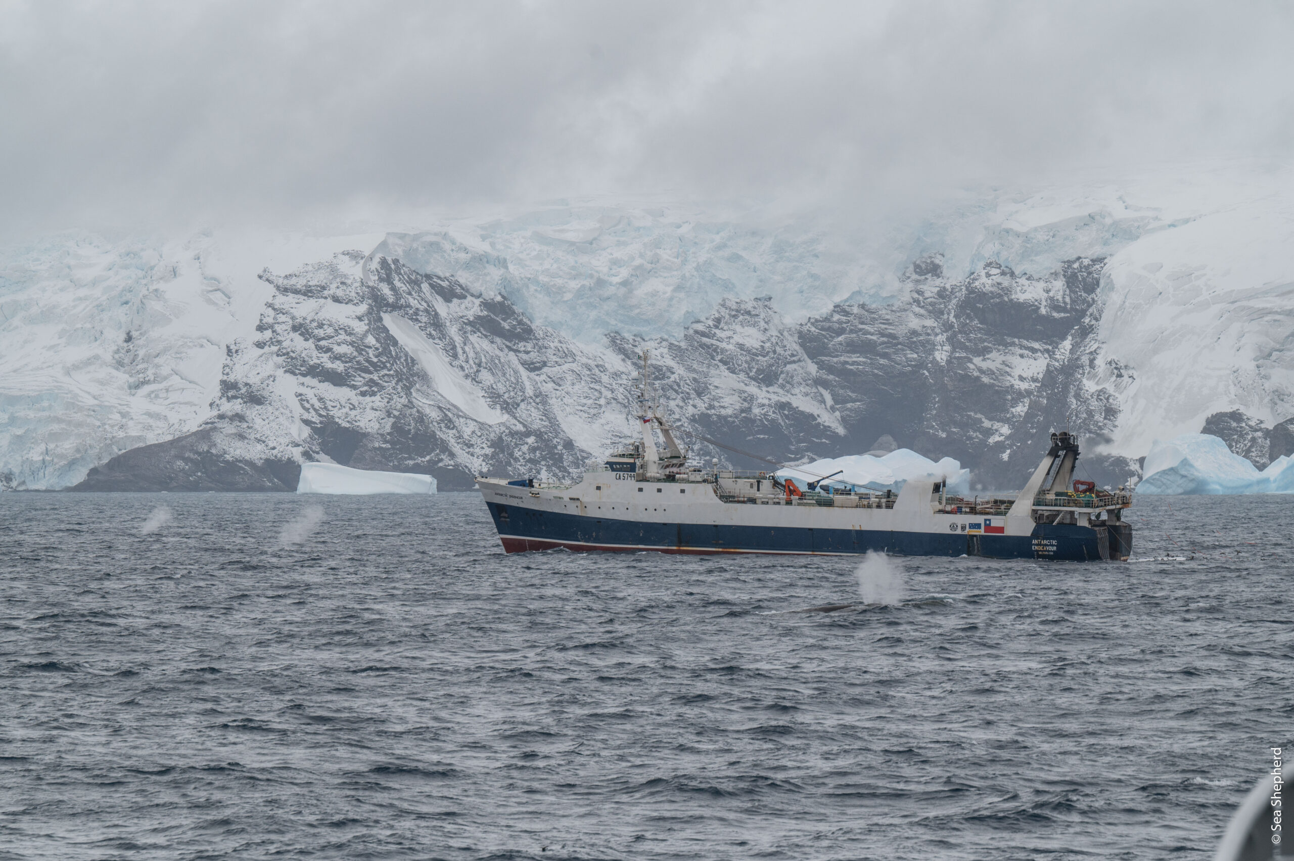 Ocean Filmtour Vol 10_ Peter Hammarstedt