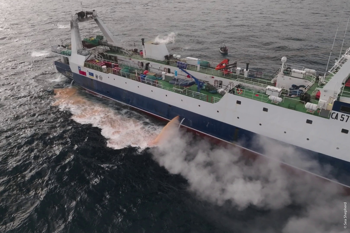 Ocean Filmtour Vol 10_ Peter Hammarstedt