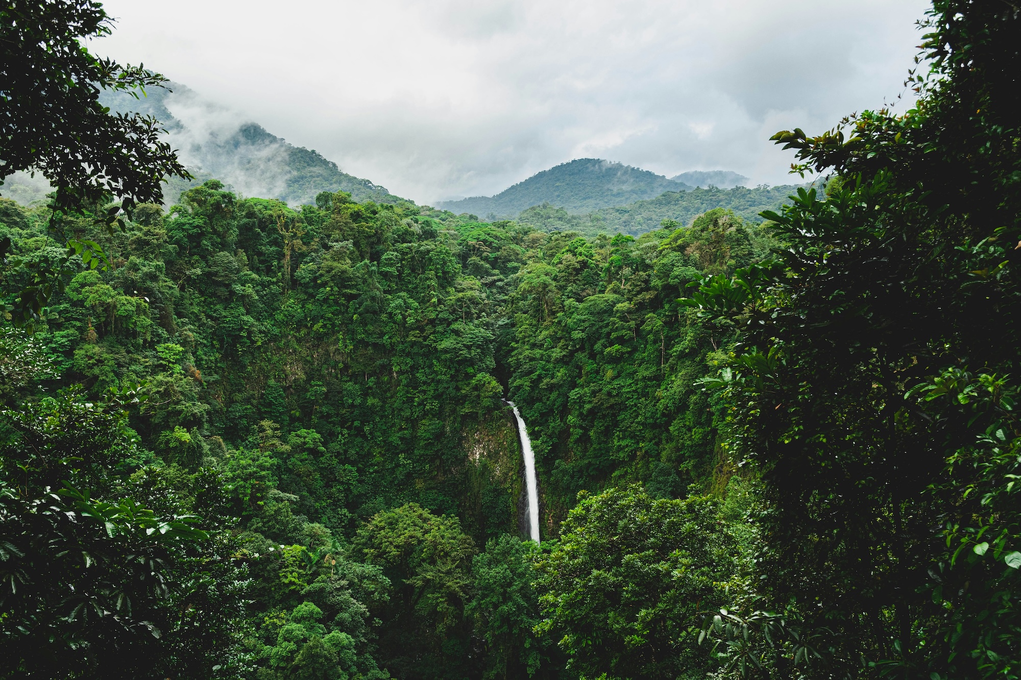 etienne-delorieux-e5sp18O40yA-unsplash Costa Rica: Die Top 10 Outdoor-Aktivitäten
