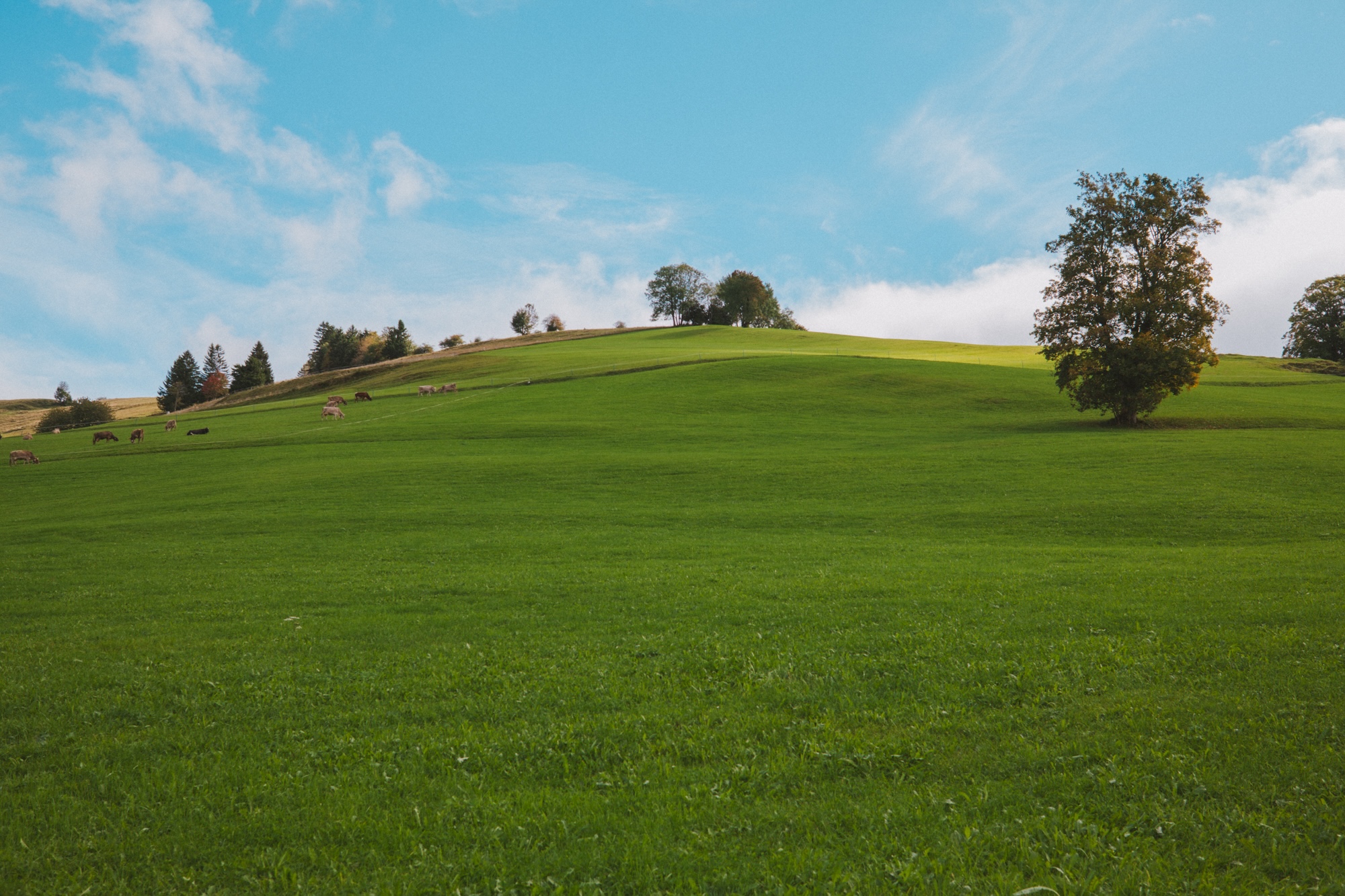 Fjällräven Classic Deutschland
