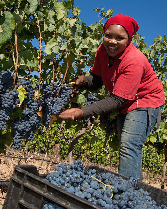 Kultur in Südafrika