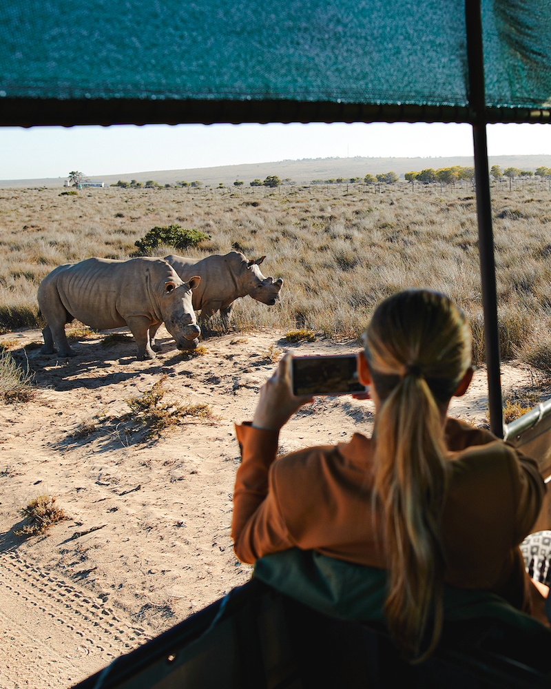 Kultur in Südafrika