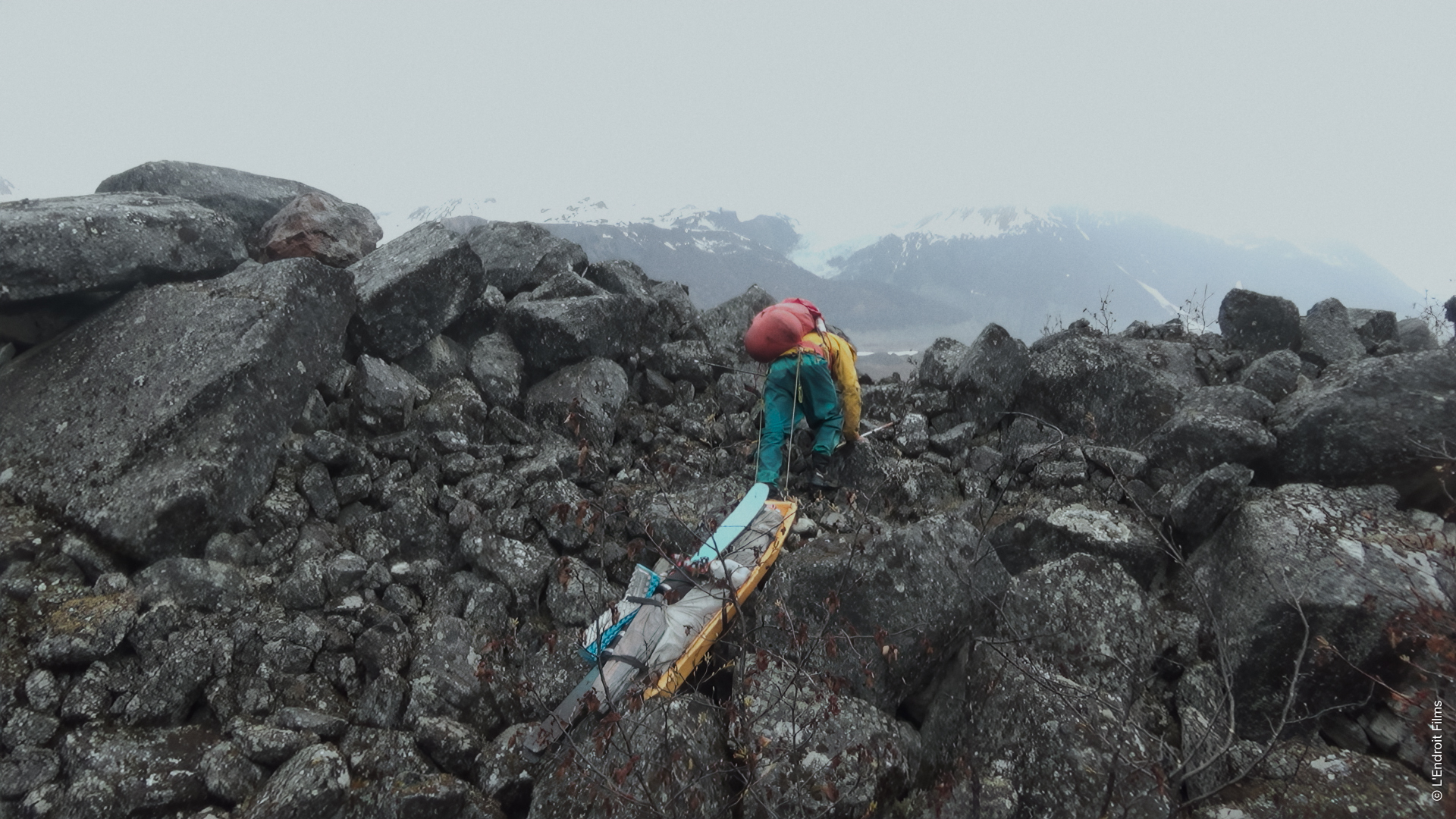 Wild Days EOFT Alexandre Marchesseau