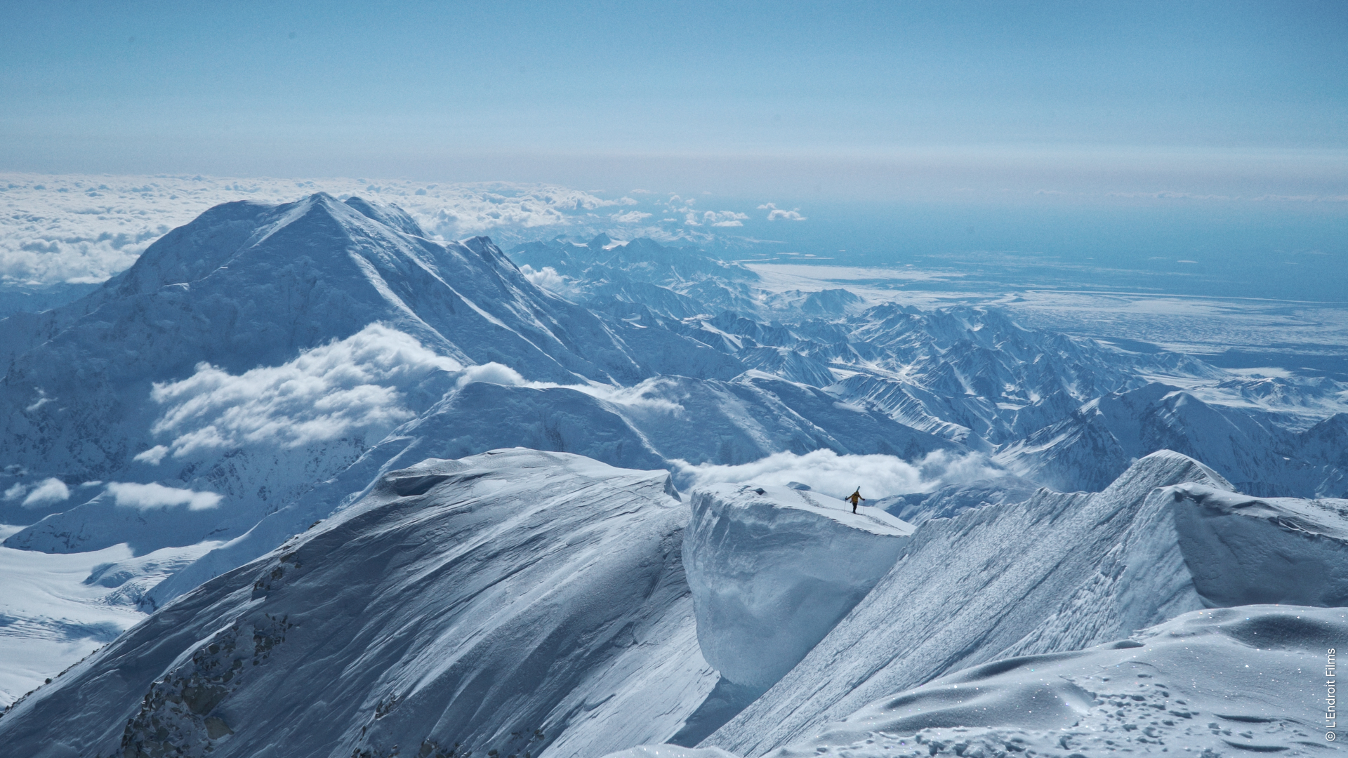 Wild Days EOFT Alexandre Marchesseau