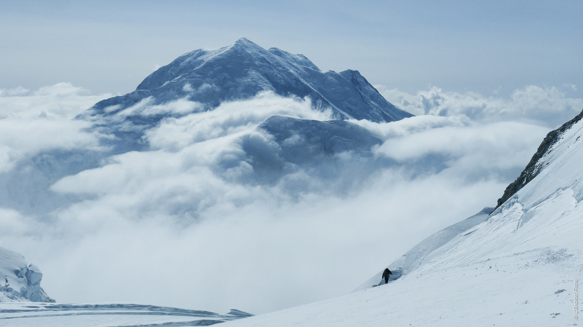 Wild Days EOFT Alexandre Marchesseau