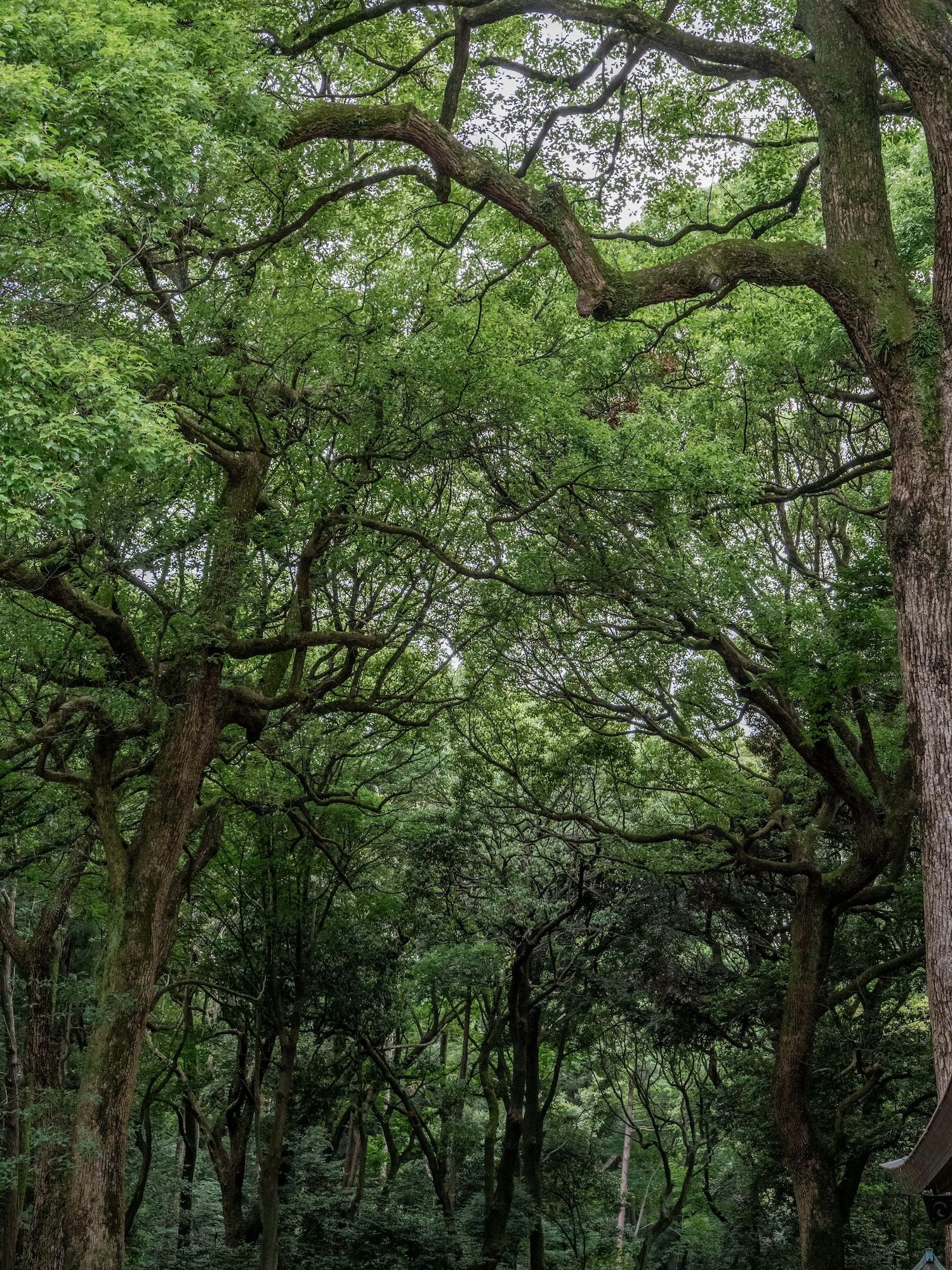 Geheimtipps Südafrika