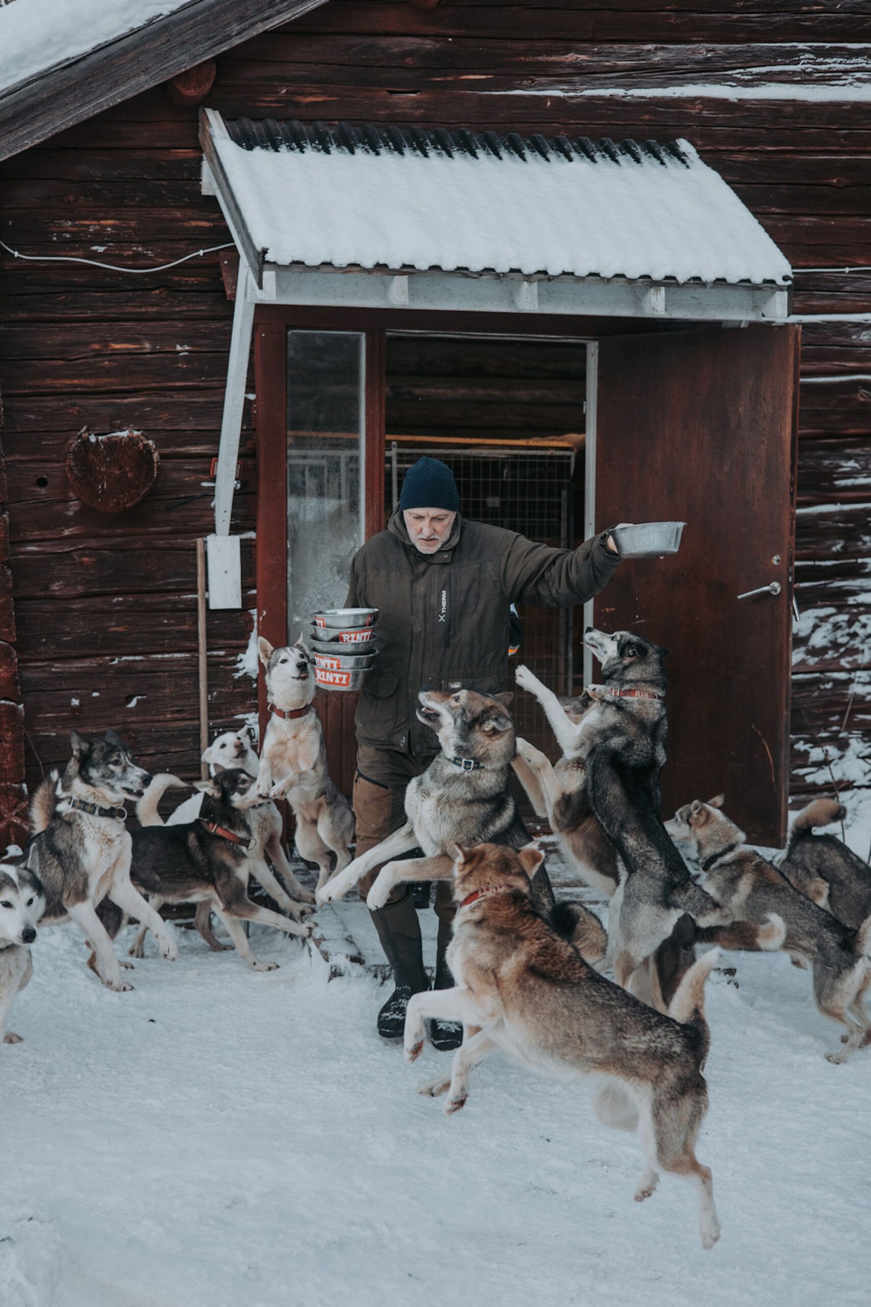 Musher in Schweden