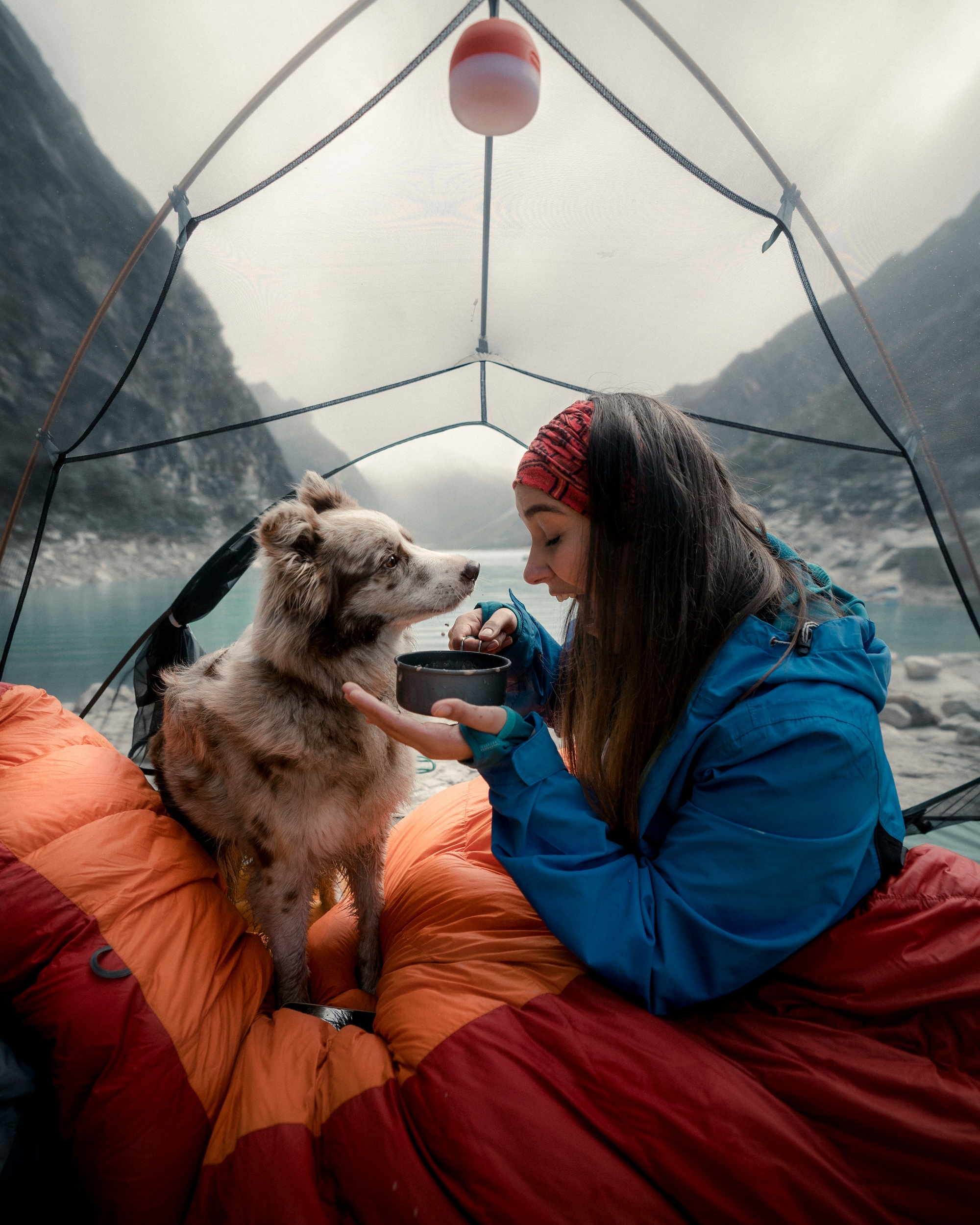 Outdoor-Urlaub mit Hund