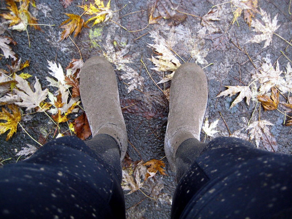 Cotswold Cycling Breaks