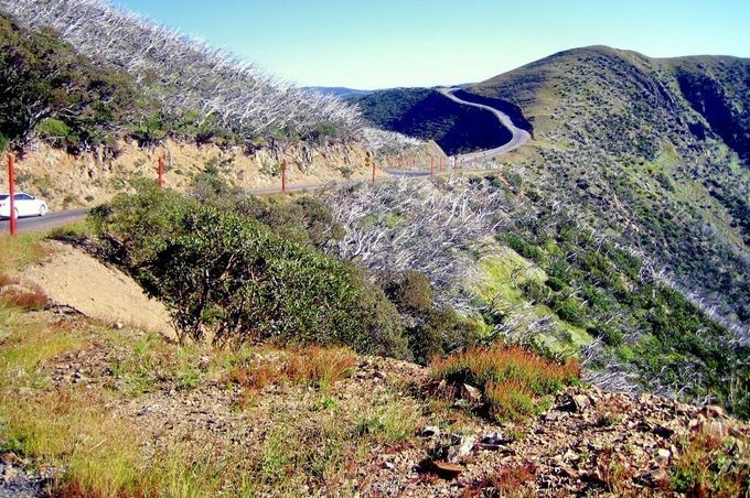 Strava Klassiker: Mount Hotham, Victoria, Australien