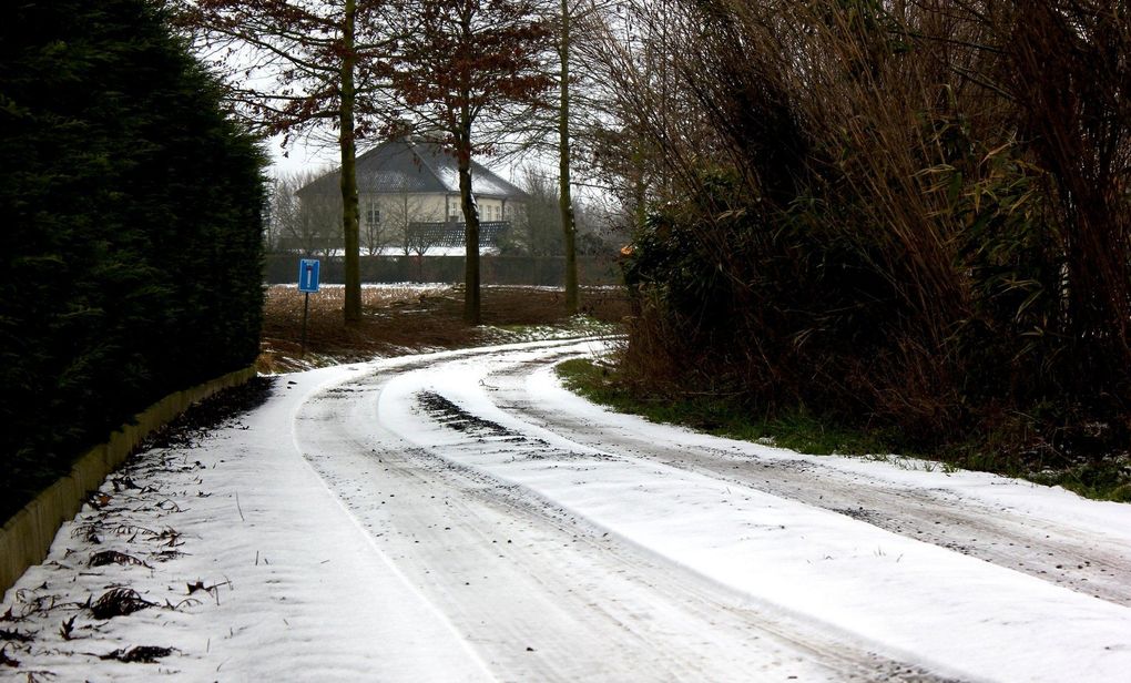 Winter, wie sehr wir dich lieben!