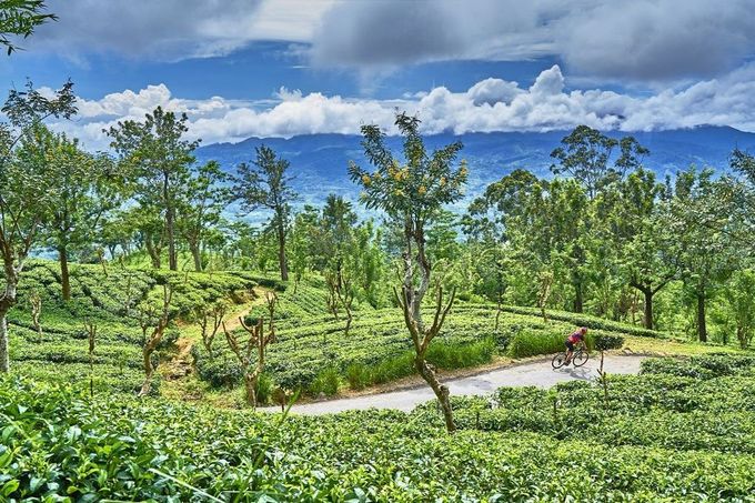 Die Kletterpartien rund um Sri Lankas Teeplantagen sind anspruchsvoll, entlohnen aber mit einer fantastischen Szenerie. Foto: SpiceRoads