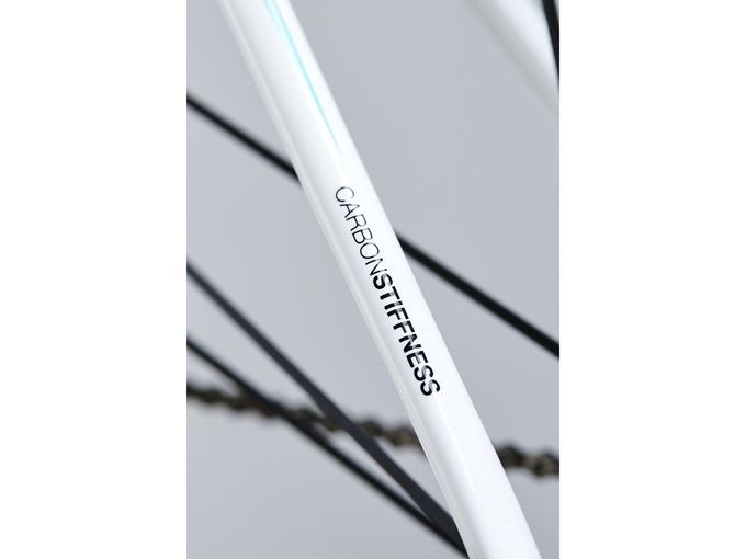 Storck Aerfast 20th Anniversary Edition