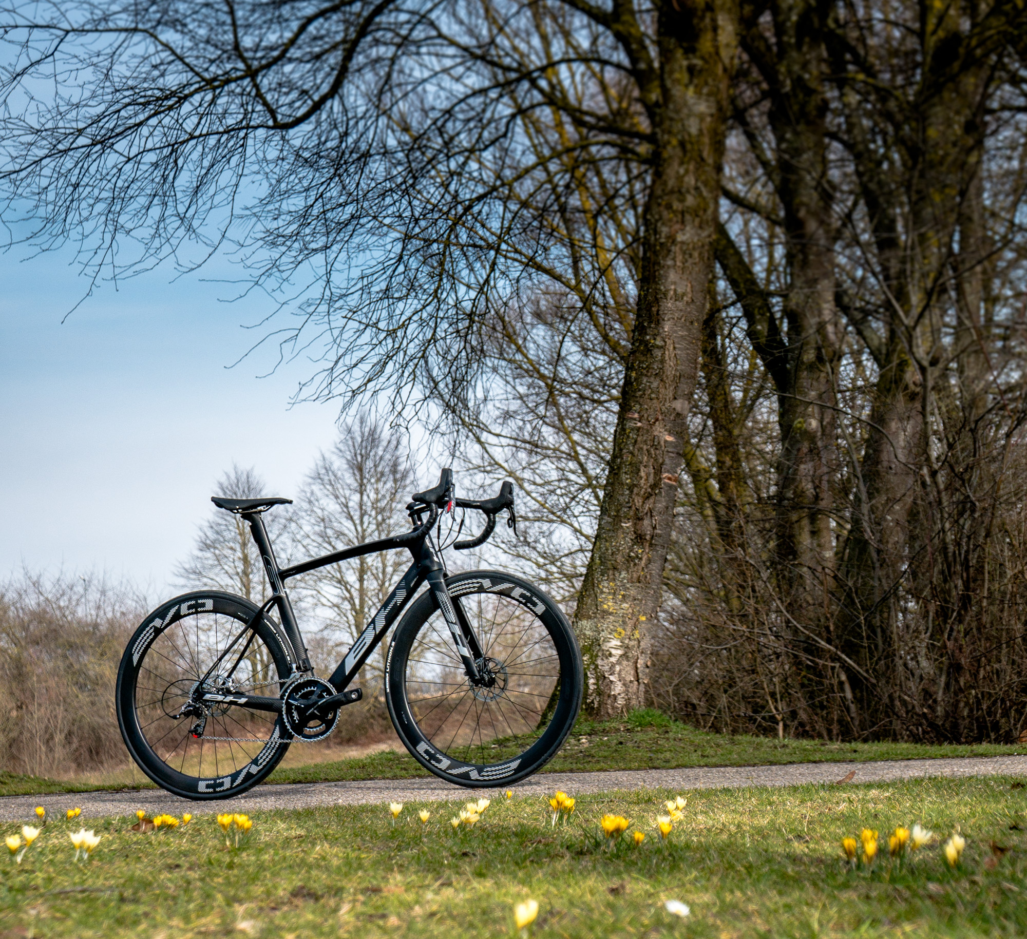 BH Bikes G7, Foto: Arian Schlichenmayer