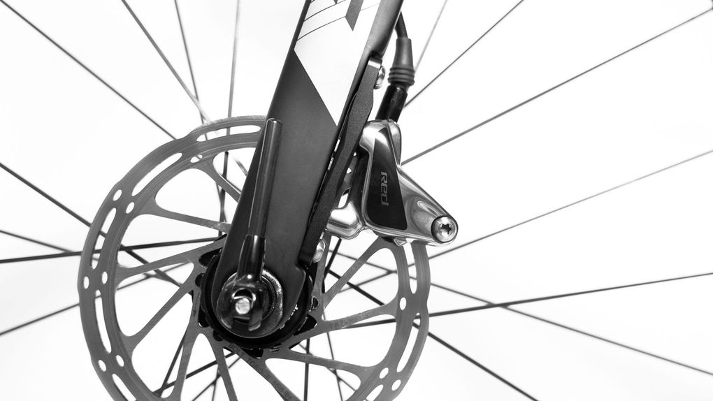 Foto: Arian Schlichenmayer