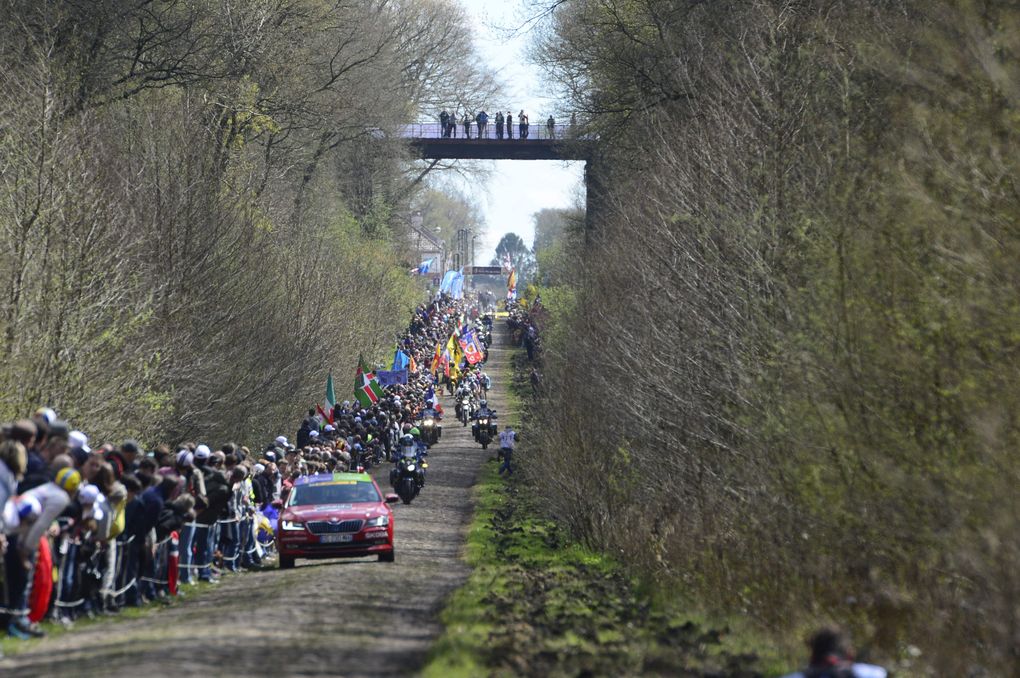 Paris-Roubaix 2016: Die Spitzengruppe fährt in den Forst von Arenberg ein. Foto: Sirotti