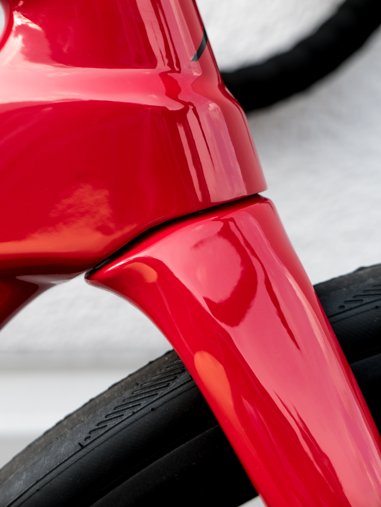 Foto: Arian Schlichenmayer