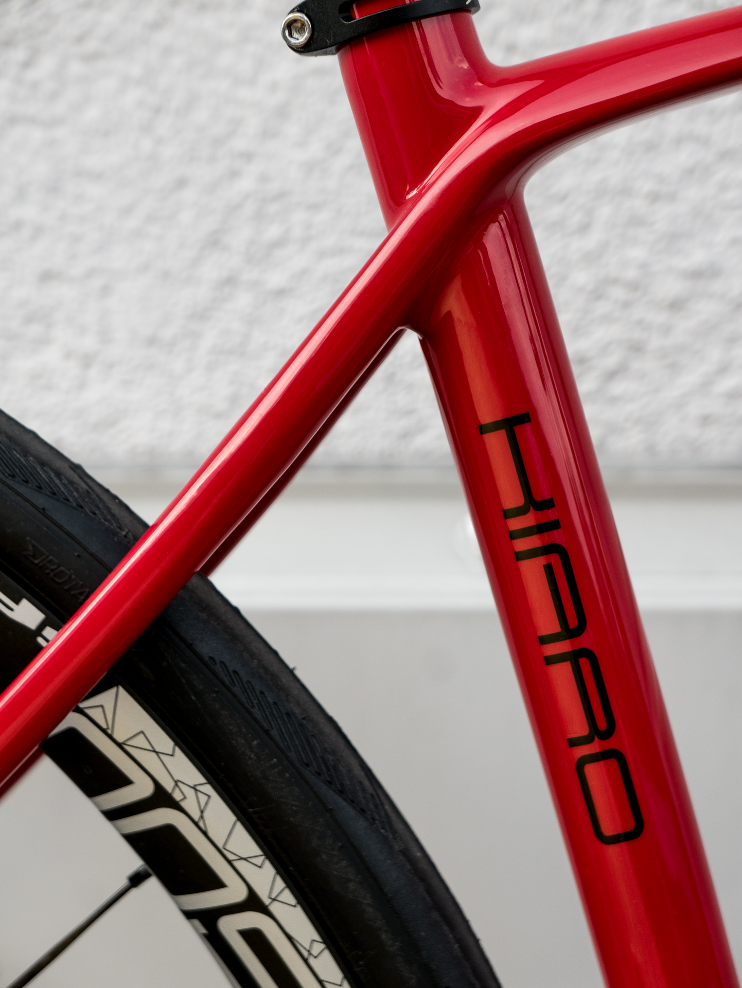 Foto: Arian Schlichenmayer