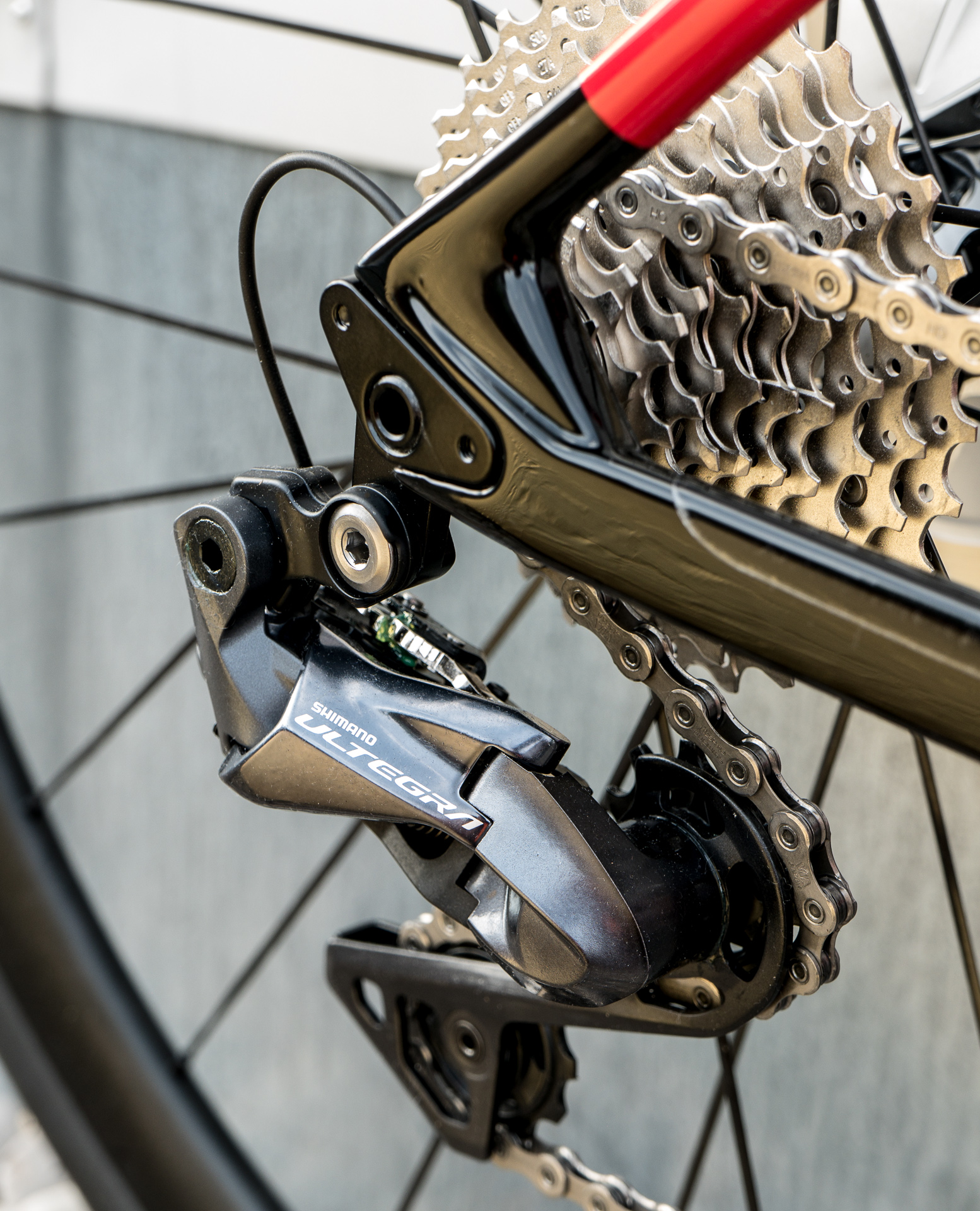 Foto: Arian Schlichenmayer