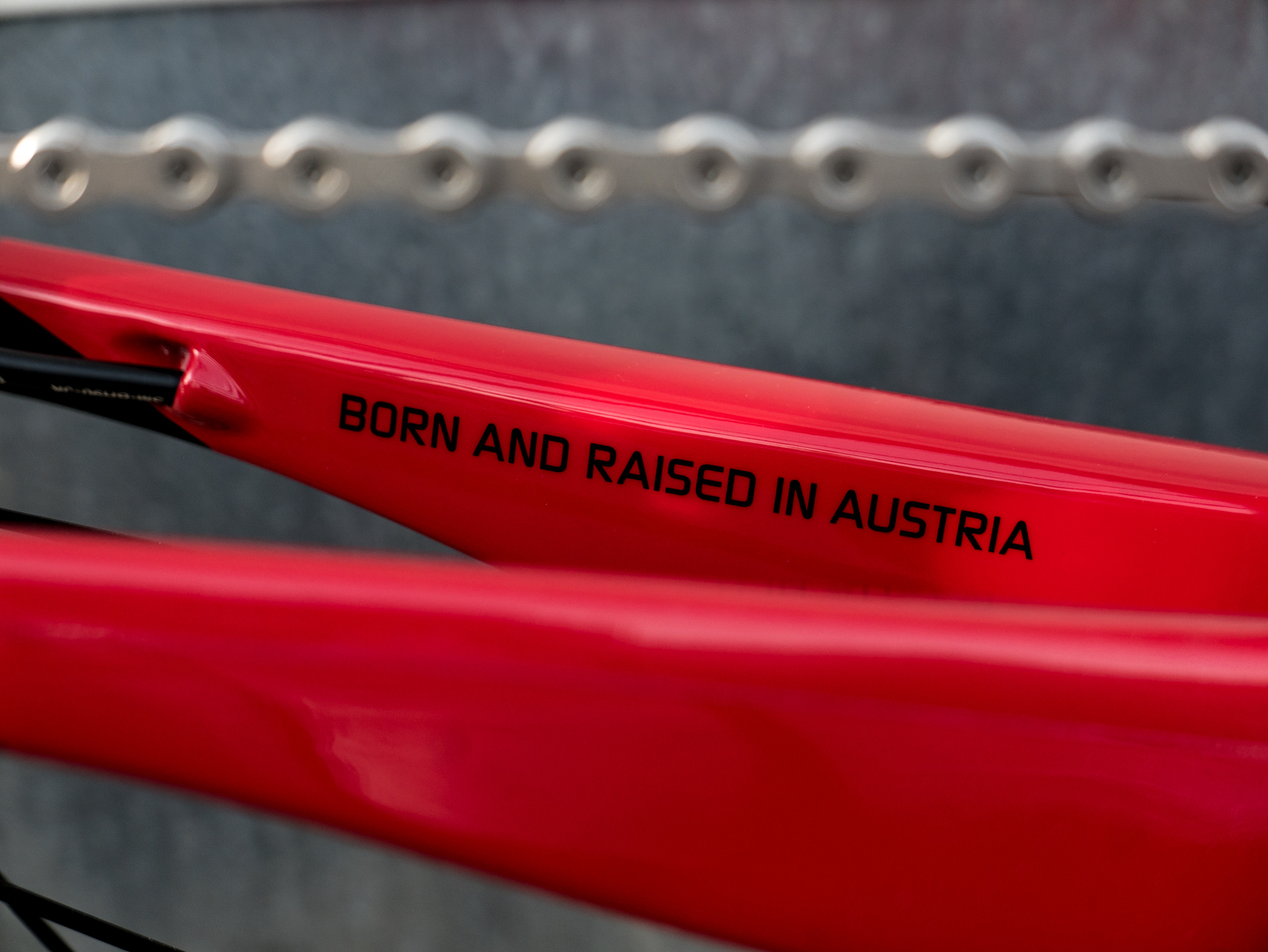 Foto: Arian Schlichenmayer