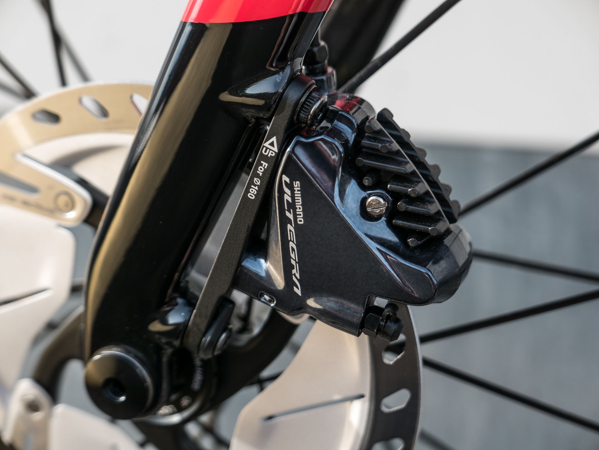 Foto: Arian Schlichenmayer