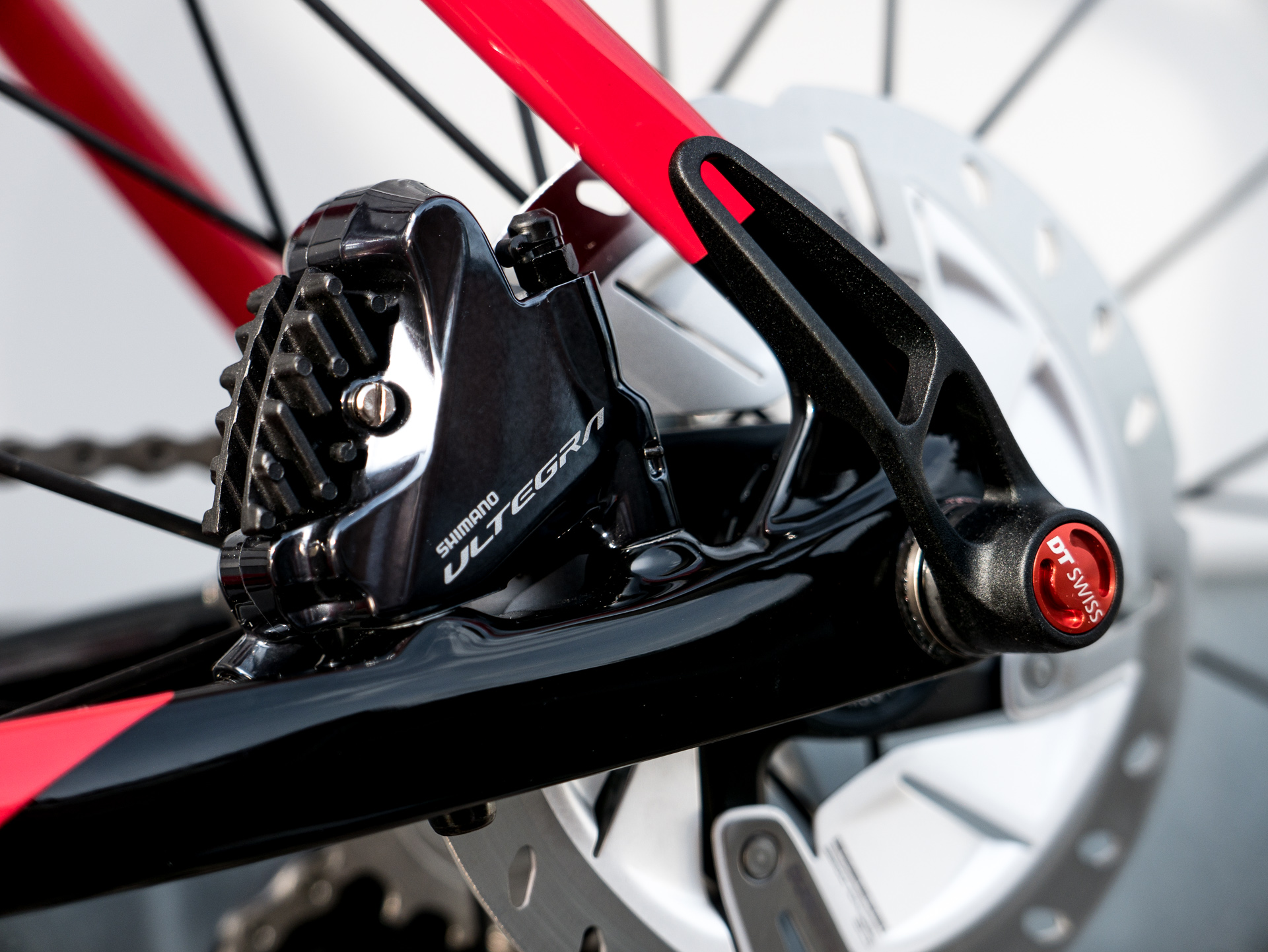 Foto: Arian Schlichenmayer