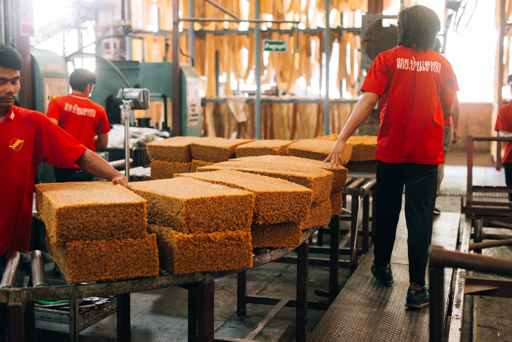 55VeeTirecoPlantationDay4_RCDE