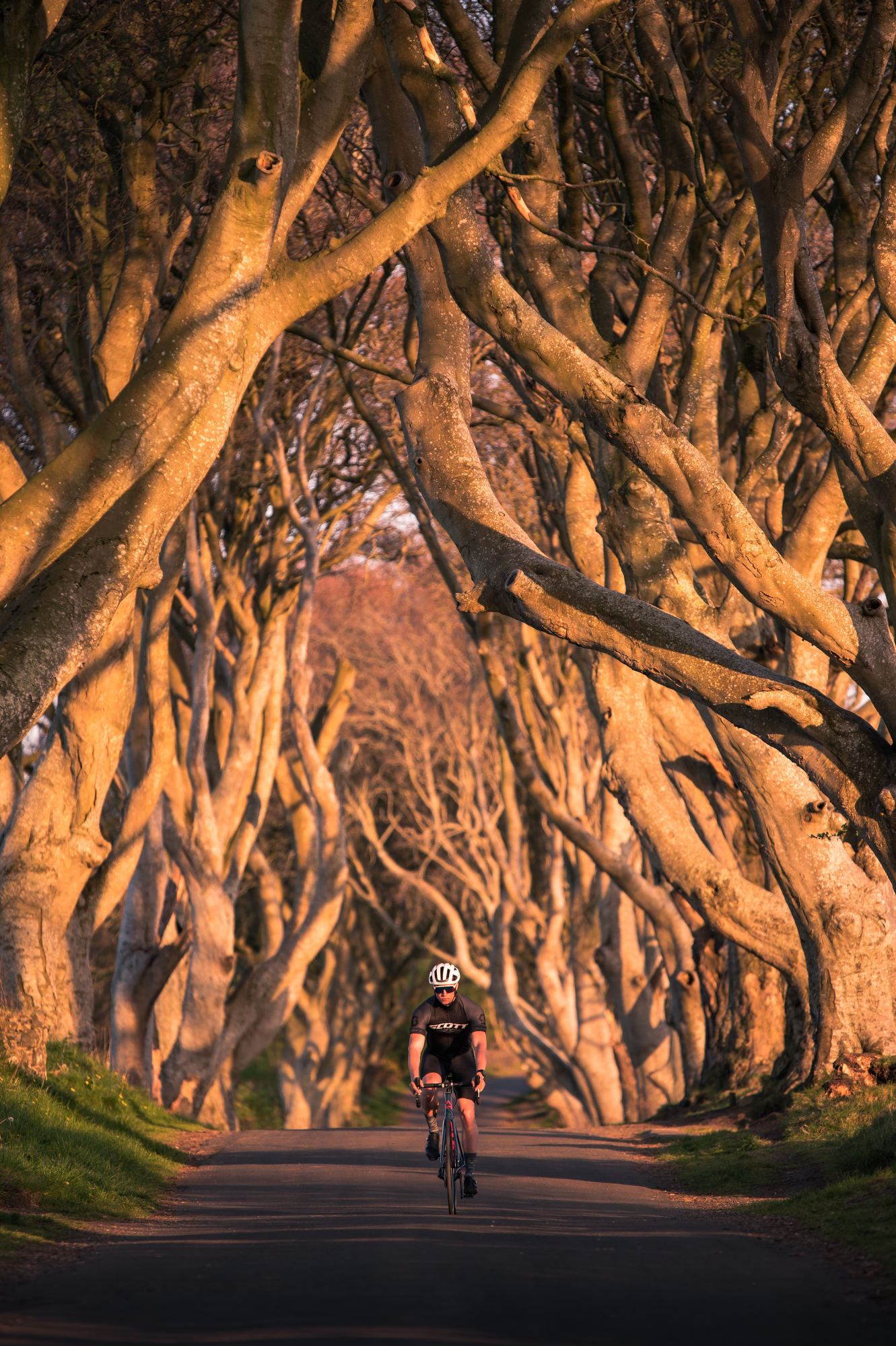 Die Buchenallee "The Dark Hedges" ist aus Games of Thrones bekannt.