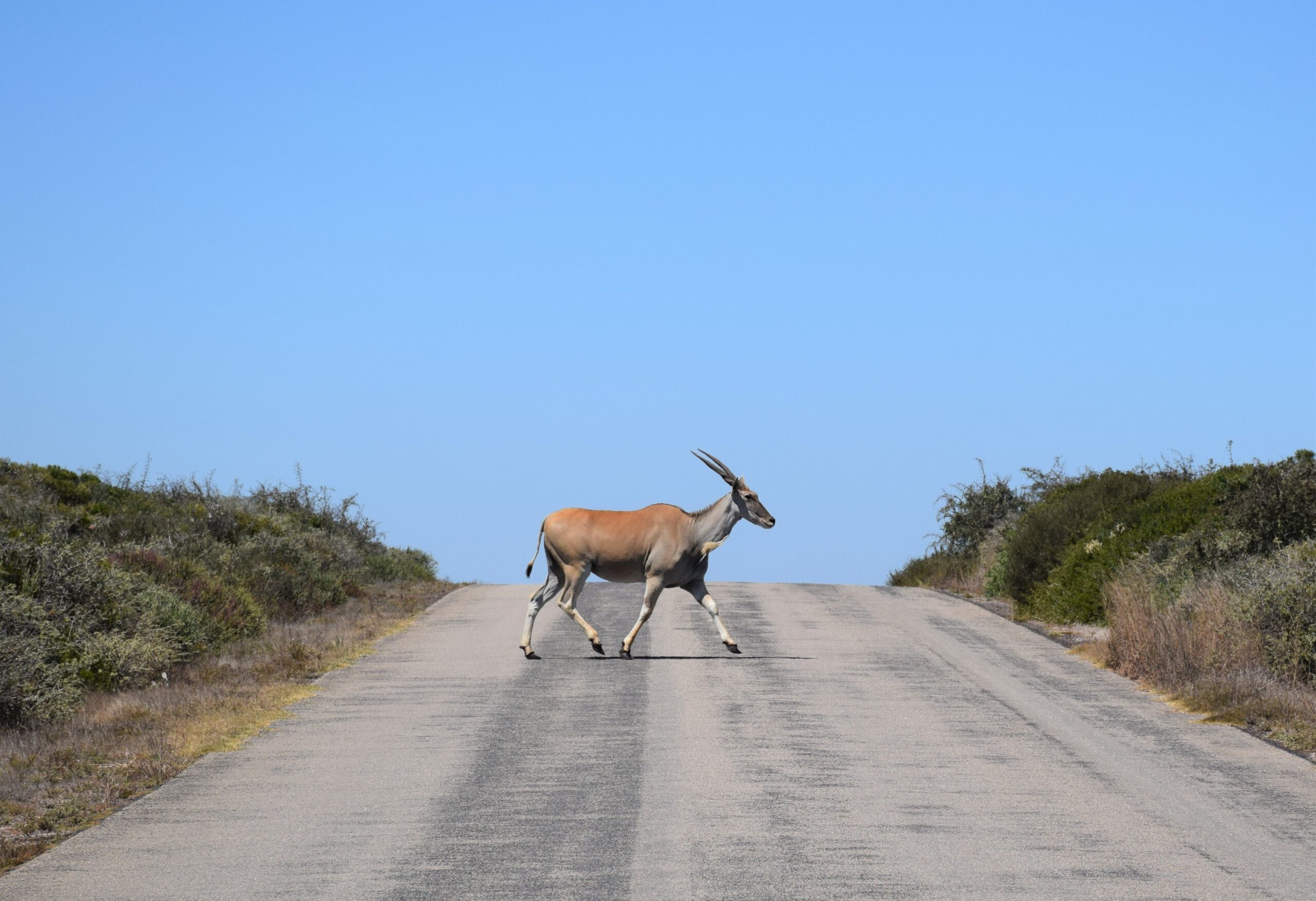 Langebaan Gravelbiken Südafrika